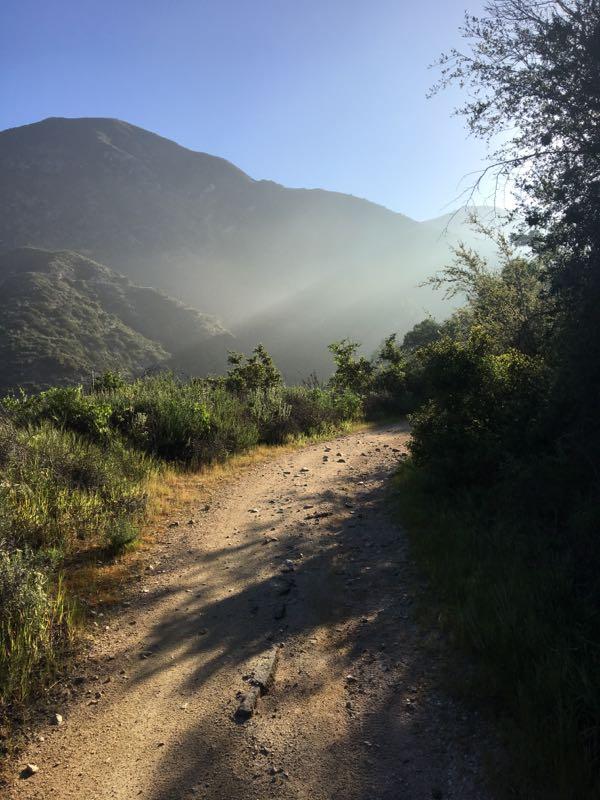 A winding dirt path surrounded by lush greenery, leading into a mountainous landscape. Soft sunlight filters through the mist, highlighting the rugged terrain and creating a serene, natural ambiance. El Prieto mountain bike trail.