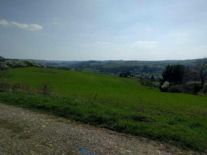 A landscape view of rolling green hills under a clear sky, with a gravel path in the foreground. The horizon features a mix of trees and fields, suggesting a peaceful rural setting. The scene is bright and captures the essence of a sunny day in nature. Kusel Castle Trail mountain bike trail.