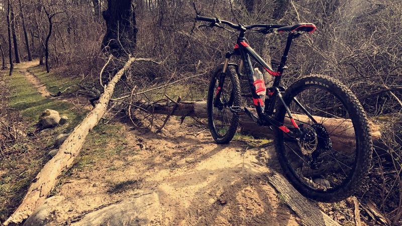 A mountain bike leaning against a fallen log on a dirt trail surrounded by sparse trees and underbrush. The scene is set in a natural outdoor environment, indicating a recreational biking path. Addison Oaks mountain bike trail.