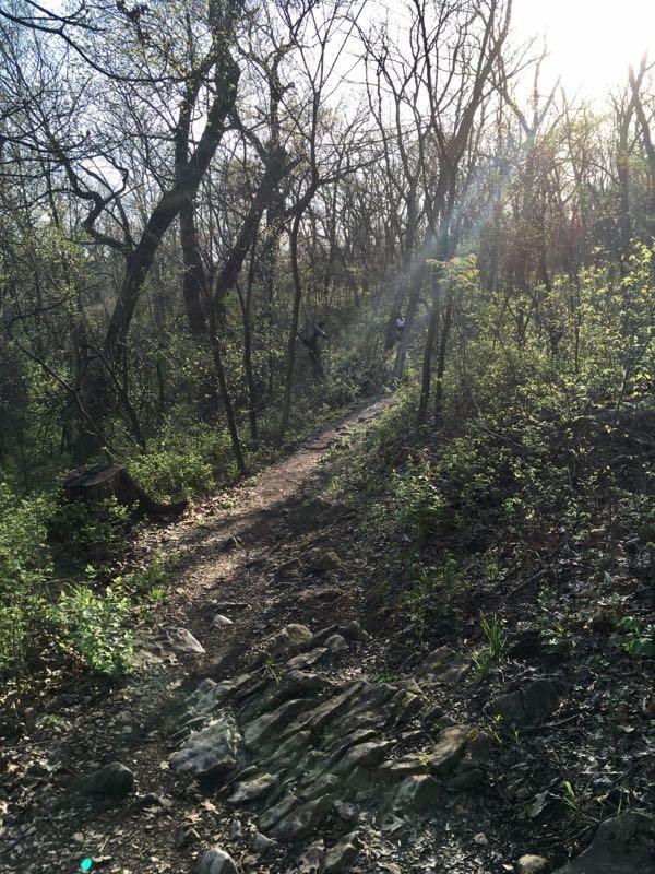 A winding trail through a wooded area, surrounded by trees and greenery. The scene is illuminated by sunlight filtering through the branches, casting gentle rays along the path. Rocks and uneven terrain are visible, indicating a natural hiking route. Shawnee Mission Park mountain bike trail.