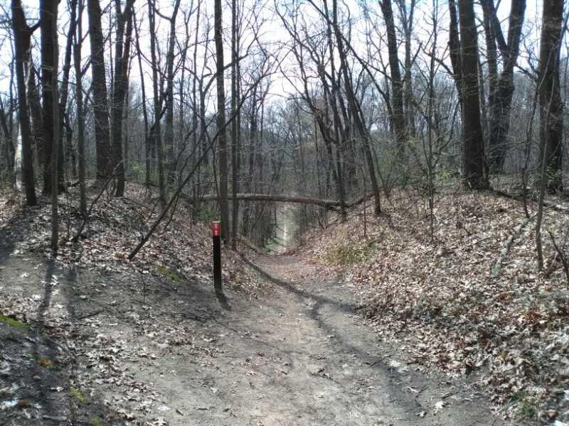 A dirt trail surrounded by bare trees and leaf-covered ground, leading to a fork in the path. A wooden signpost with a red marker is visible on the left side of the trail, and a fallen tree arches over the path in the background. Heritage Park mountain bike trail.