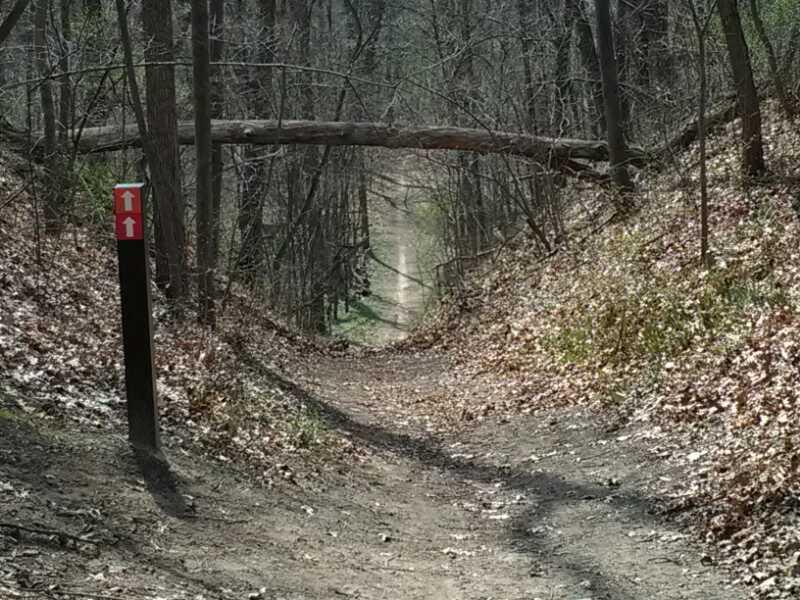 A narrow dirt trail winding through a wooded area, with trees on either side and a fallen branch resting across the path. A post with a red sign featuring two upward arrows indicates the direction of the trail. The ground is covered with fallen leaves, and the scene is set in a serene, natural environment, suggesting a hiking path. Heritage Park mountain bike trail.