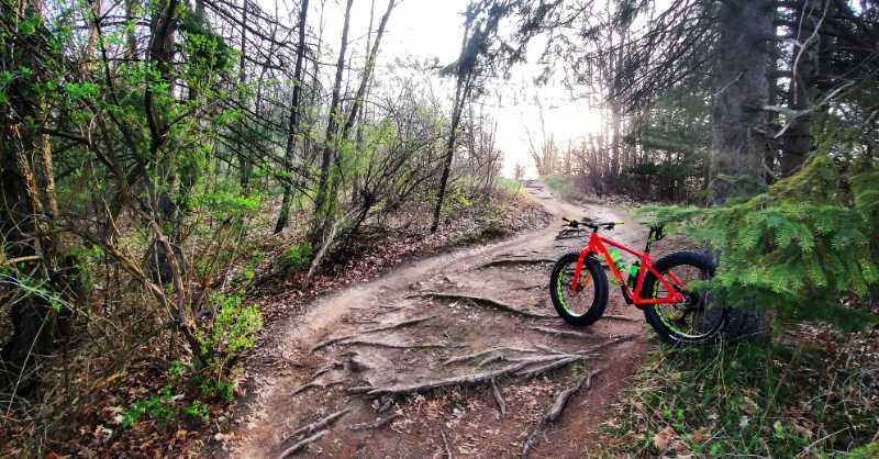 A red fat bike parked beside a winding dirt trail surrounded by trees and greenery, with visible roots along the path and soft, golden light filtering through the foliage in the background. Island Lake mountain bike trail.