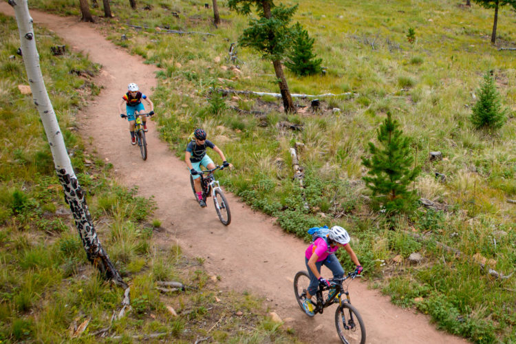 Three cyclists riding mountain bikes along a dirt trail through a grassy, forested area with pine trees.
