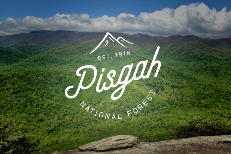 Everything You Need to Know About Mountain Biking and Visiting Pisgah National Forest