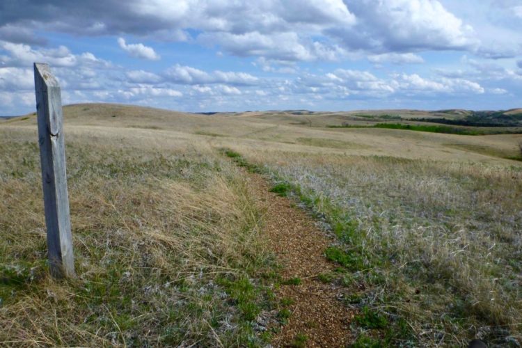 A scenic view of a grassy landscape under a partly cloudy sky. A dirt pathway leads through tall dry grasses, with gentle hills in the background. A wooden post is visible on the left side of the image, marking the trail.