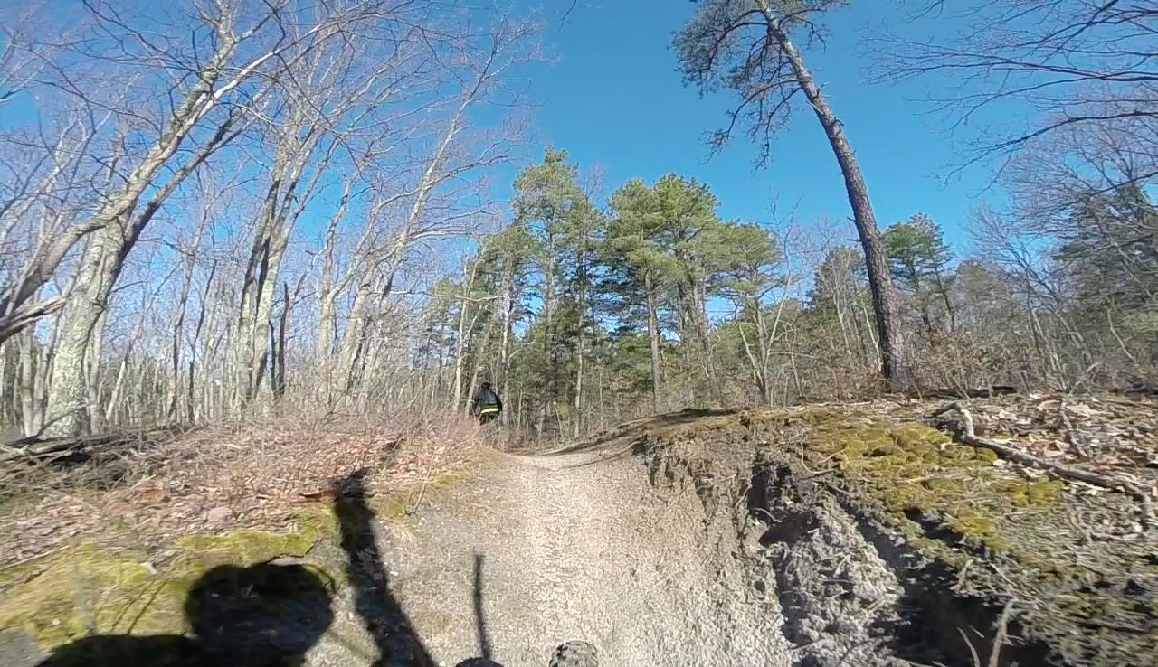 A dirt trail winding through a wooded area on a clear day, with bare trees on either side and a few evergreen trees in the background. Shadows can be seen along the trail, suggesting a cyclist or hiker is in motion. The path has a rocky texture and is flanked by patches of moss and fallen leaves. Allaire State Park mountain bike trail.
