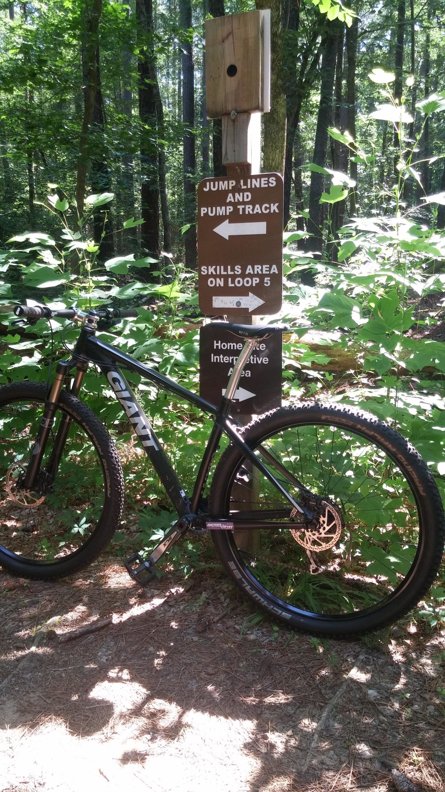 A mountain bike leaning against a wooden sign in a forested area. The sign indicates trails for jump lines, a pump track, and a skills area. Surrounding the bike are green foliage and tall trees, with dappled sunlight filtering through the leaves. Lake Crabtree County Park mountain bike trail.