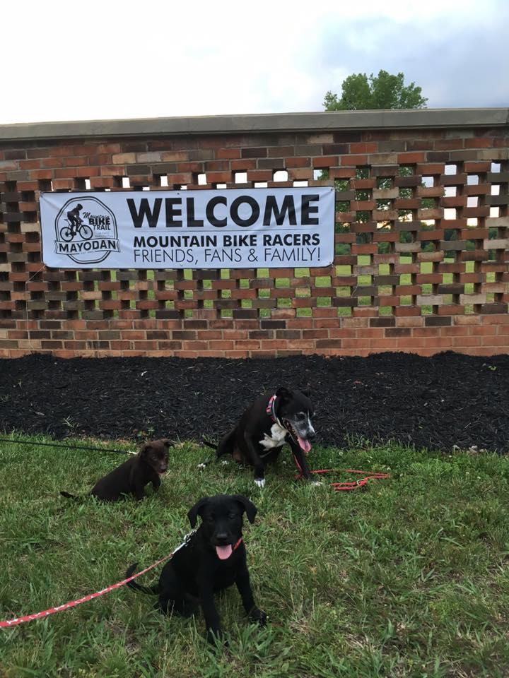 A welcome banner for a mountain biking event hangs on a brick wall, with three dogs sitting on the grass below. The banner reads "WELCOME MOUNTAIN BIKE RACERS, FRIENDS, FANS & FAMILY!" The dogs, varying in size and color, are leashed and looking towards the camera. Farris Park mountain bike trail.