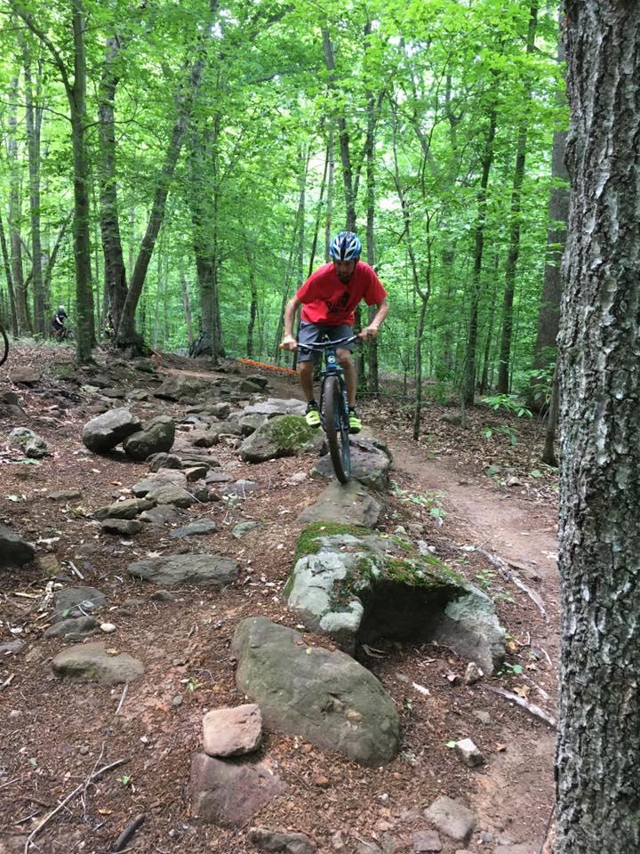 A mountain biker navigating a rocky trail in a dense, green forest. The rider is wearing a red shirt and a helmet, skillfully balancing on one wheel over a large rock. The surrounding area features a mix of trees and shrubs, with sunlight filtering through the foliage. Farris Park mountain bike trail.