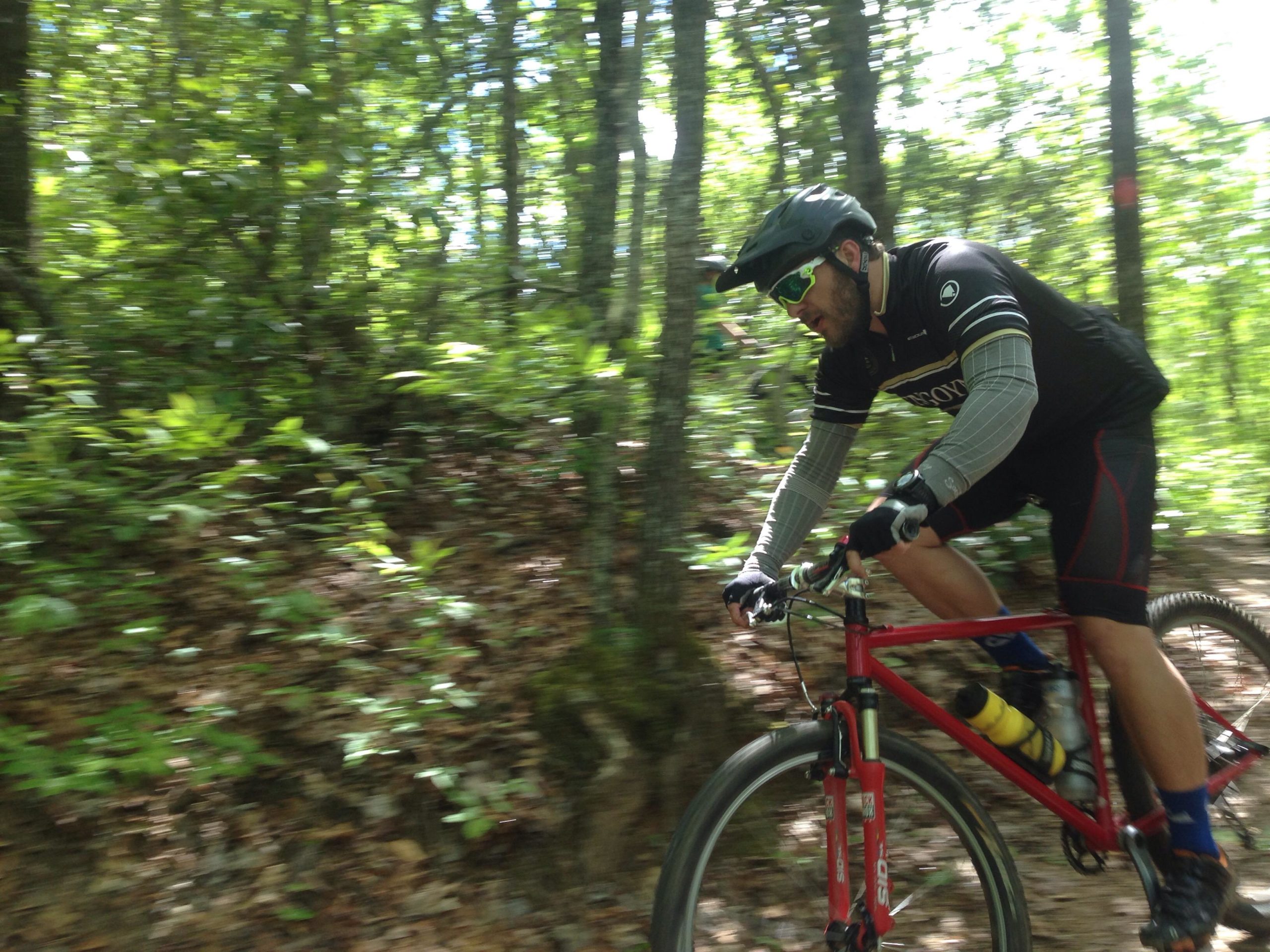 A mountain biker riding downhill on a forest trail, surrounded by lush greenery and sunlight filtering through the trees. The rider is wearing a helmet, sunglasses, and a cycling jersey, and is focused on navigating the path. Bracken Preserve mountain bike trail.