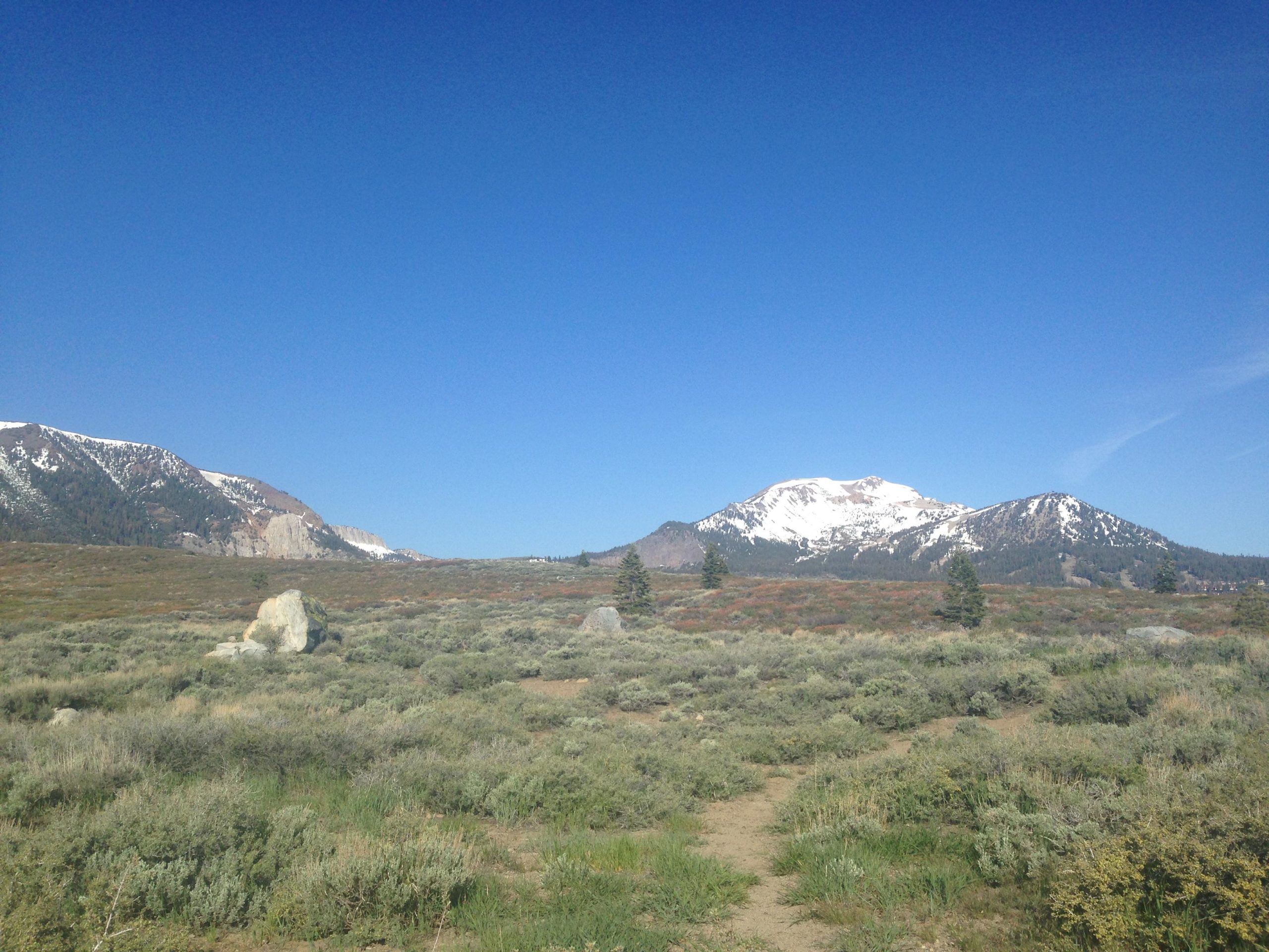 A clear blue sky above a mountainous landscape featuring snow-capped peaks, surrounded by green and brown shrubs. In the foreground, a large rock and a dirt path lead into the scene, with additional trees dotting the hillsides in the distance. Mammoth Rock Trail mountain bike trail.