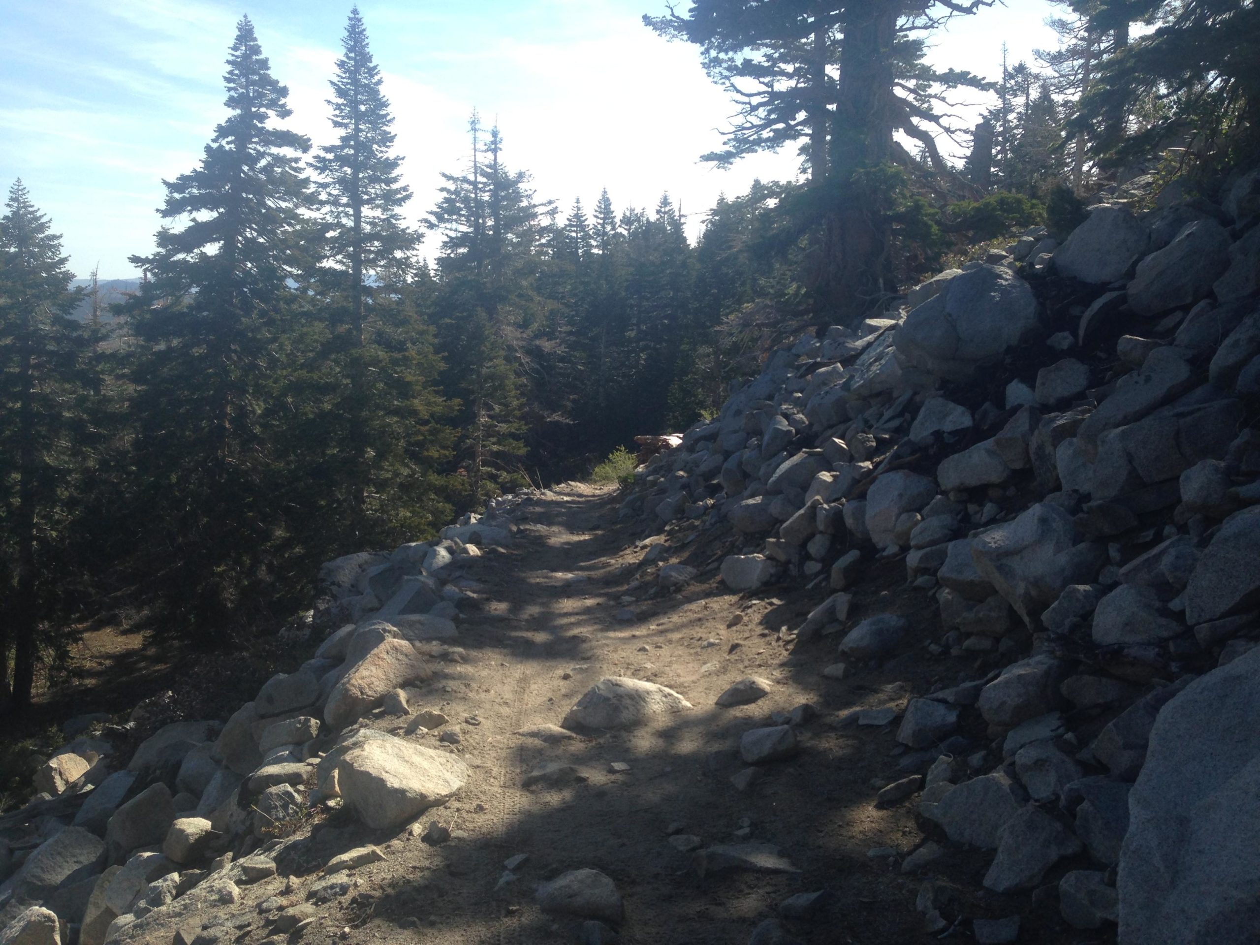 A sunlit mountain trail winding through a forest of tall evergreen trees, bordered by a rocky slope on one side. The path is dusty and natural, offering a serene outdoor setting in a mountainous landscape. Mammoth Rock Trail mountain bike trail.