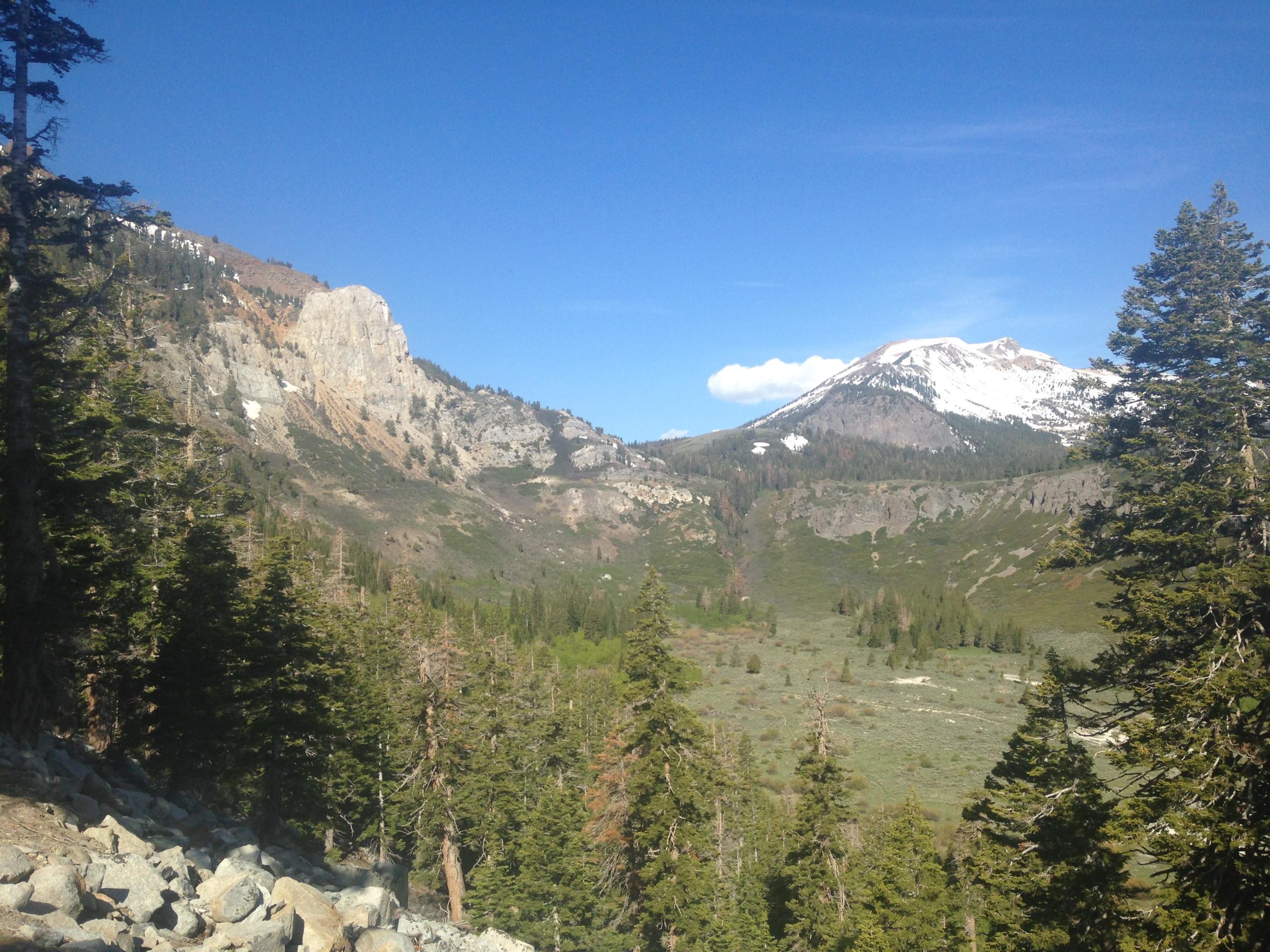 A scenic view of a mountainous landscape featuring a rocky peak on the left and a snow-capped mountain on the right, set against a clear blue sky. Dense evergreen trees fill the foreground, with patches of green grass and shrubs in the valley below. Mammoth Rock Trail mountain bike trail.
