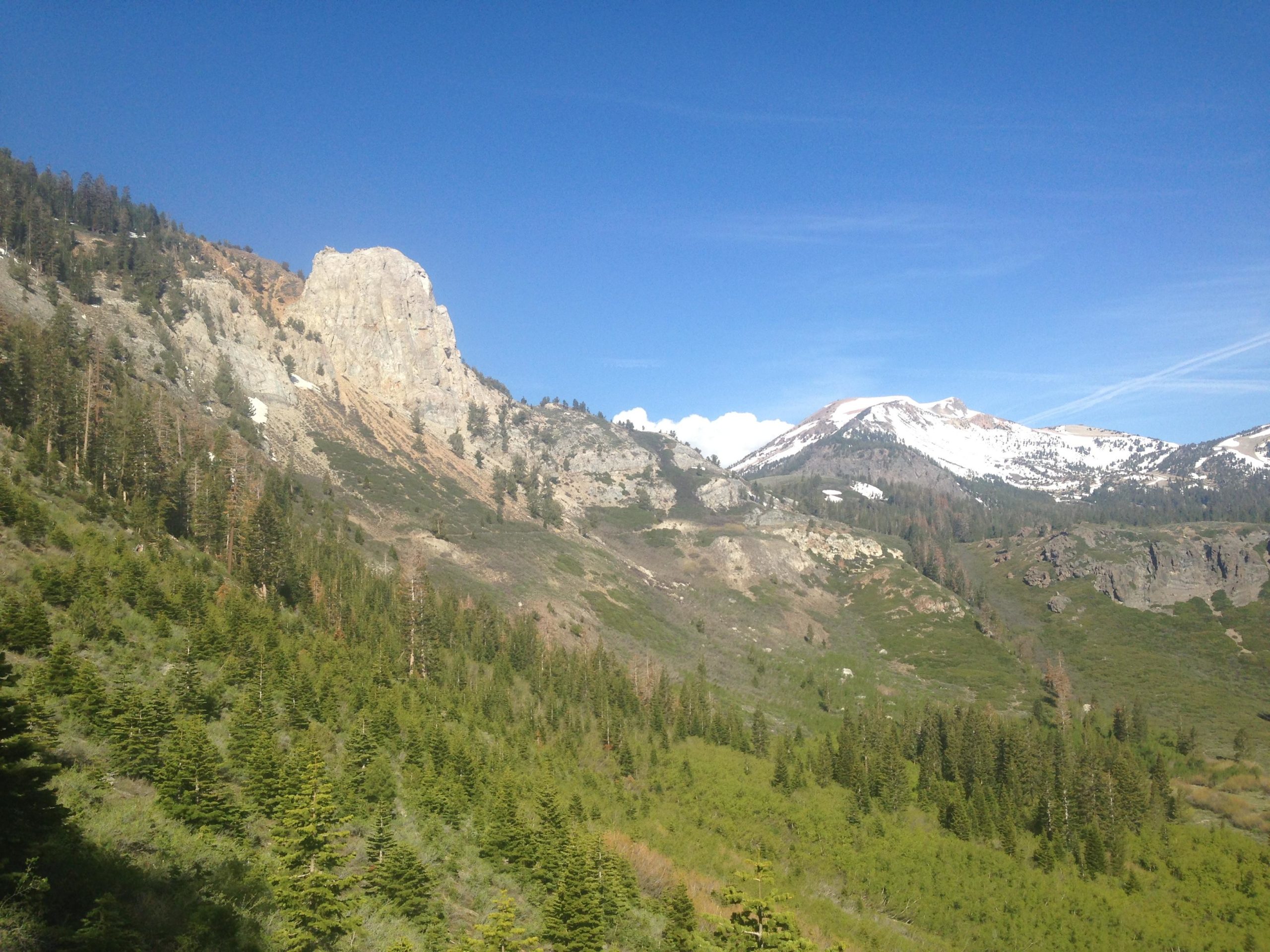 Scenic mountain landscape featuring rocky cliffs, lush green forests, and snow-capped peaks under a clear blue sky. Mammoth Rock Trail mountain bike trail.