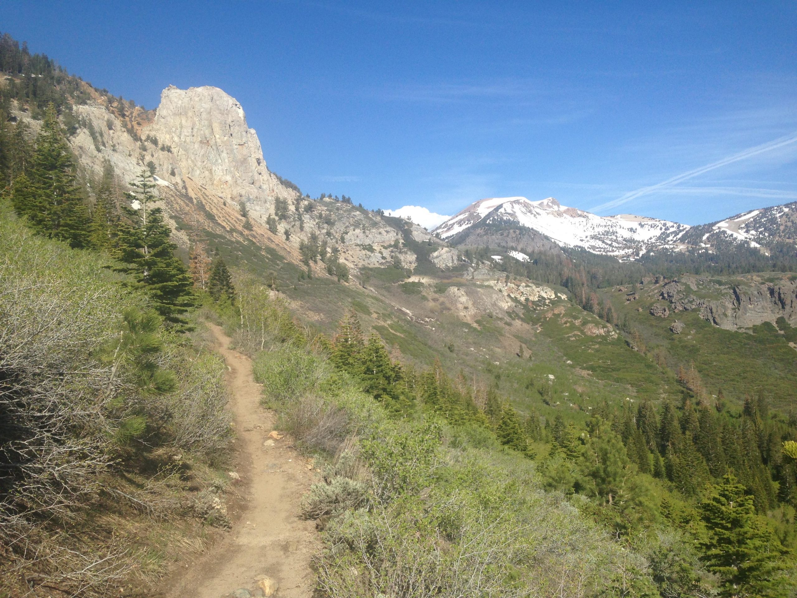 A winding dirt path through lush greenery leads towards a towering rock formation on the left, with snow-capped mountains visible in the background under a clear blue sky. Mammoth Rock Trail mountain bike trail.