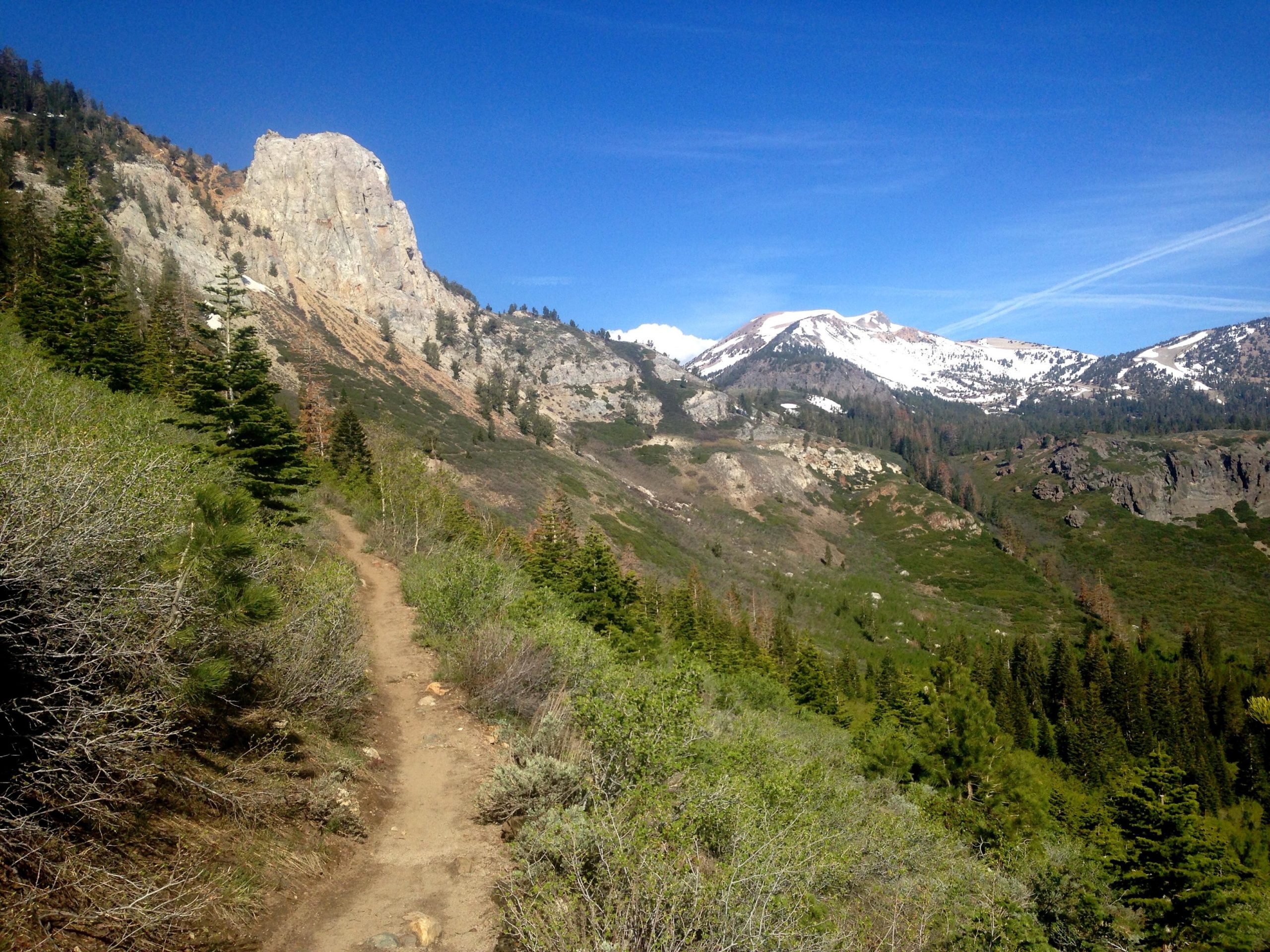 A scenic mountain landscape featuring a clear blue sky, rocky cliffs, and snow-capped peaks in the distance. A hiking trail winds through lush greenery, with coniferous trees flanking both sides. Mammoth Rock Trail mountain bike trail.