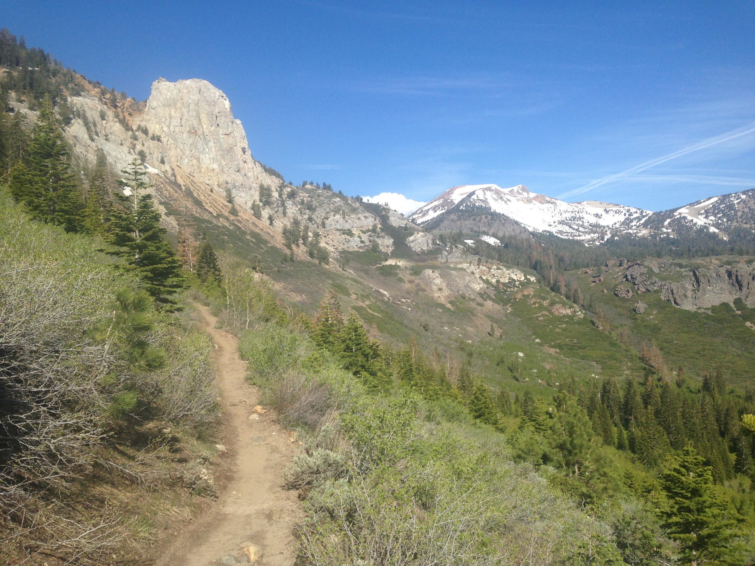 A winding dirt path leads through lush greenery, flanked by coniferous trees and rocky cliffs. In the background, snow-capped mountain peaks rise against a clear blue sky, hinting at the beauty of a mountainous landscape. Mammoth Rock Trail mountain bike trail.