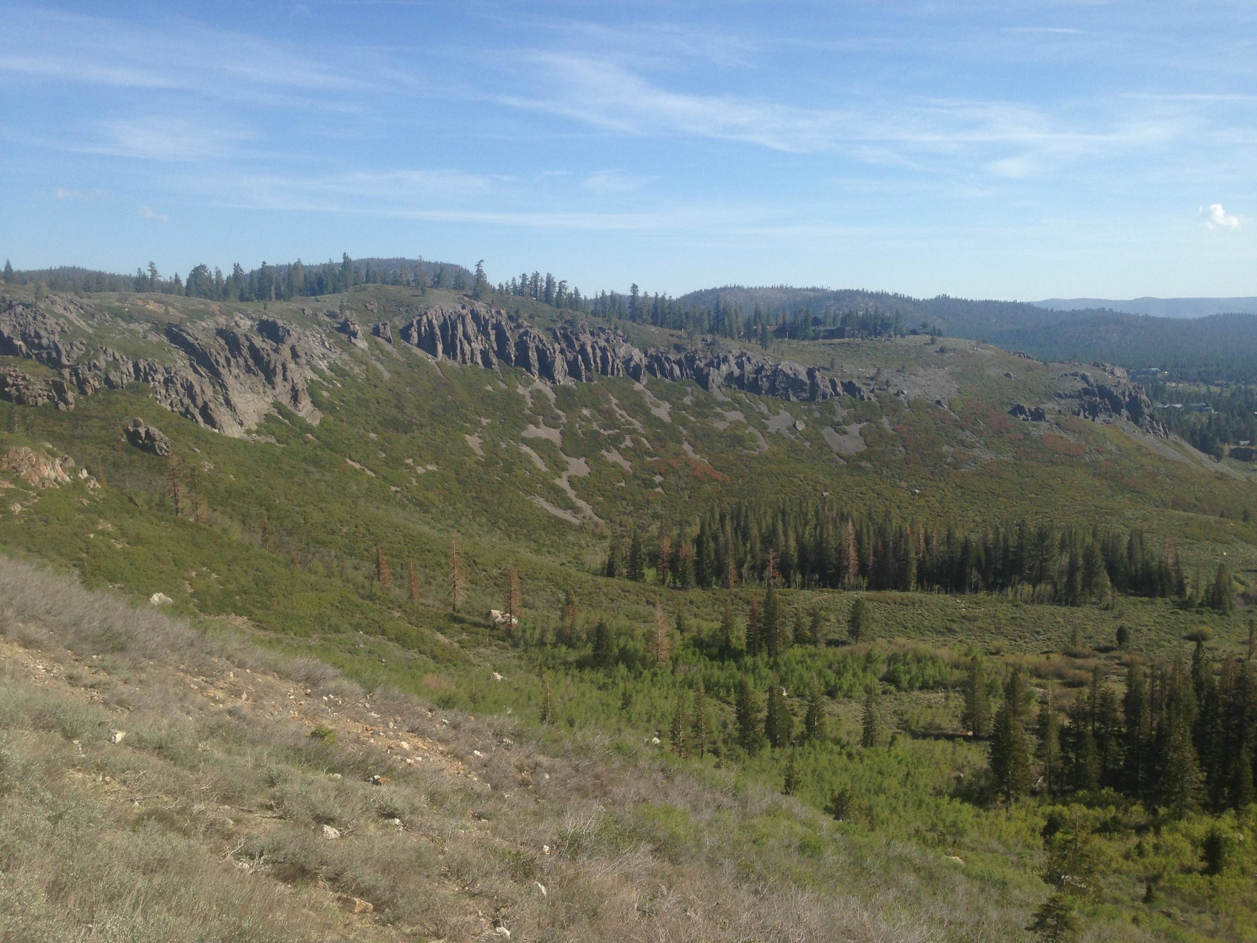A scenic view of rolling hills covered with green vegetation and patches of rocky outcrops, under a clear blue sky with some wispy clouds. Pine trees are scattered throughout the landscape, providing depth and contrast to the natural terrain. Mammoth Rock Trail mountain bike trail.