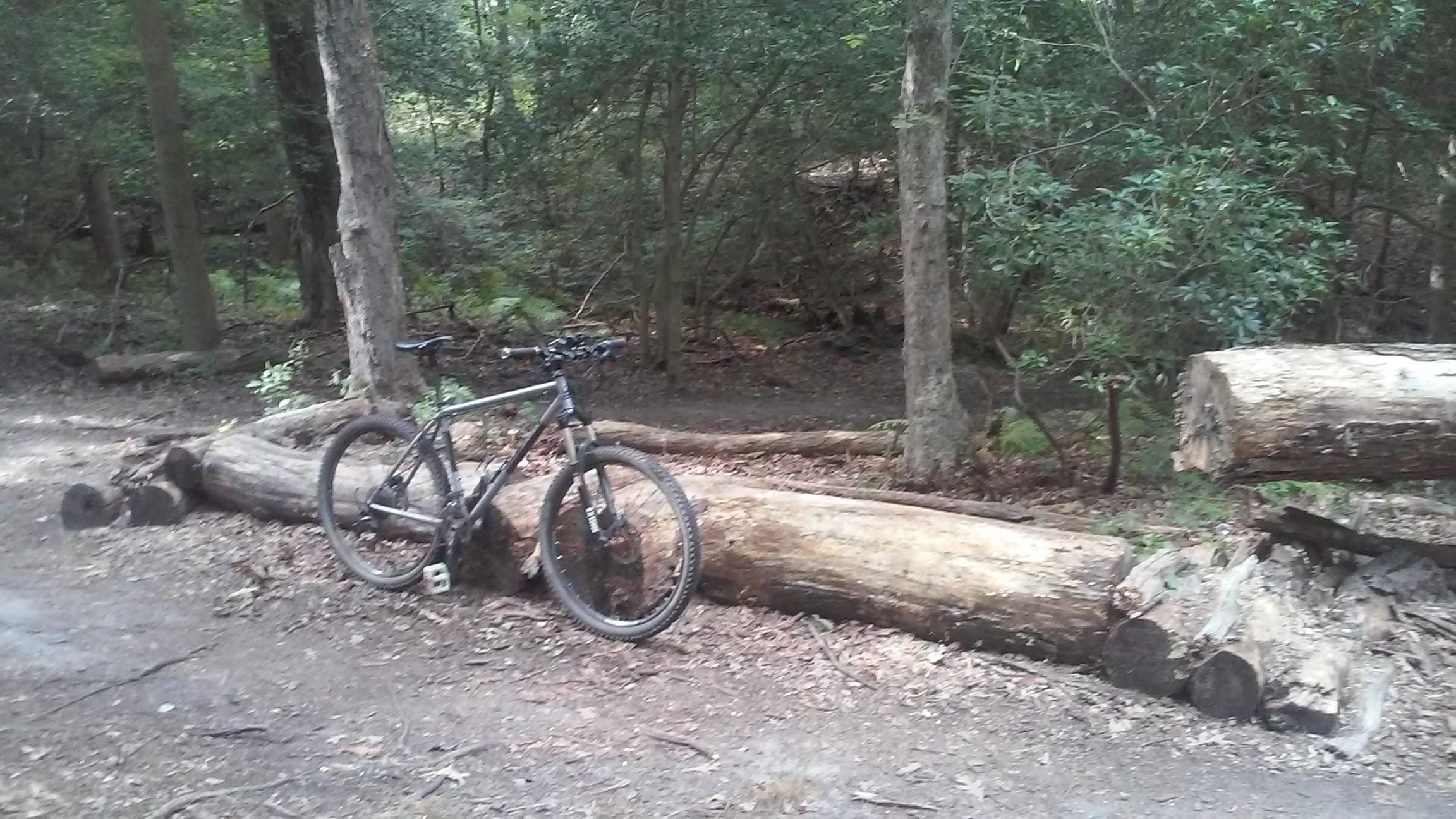 A mountain bike resting against a fallen log on a dirt path, surrounded by dense trees and greenery in a forested area. Allaire State Park mountain bike trail.