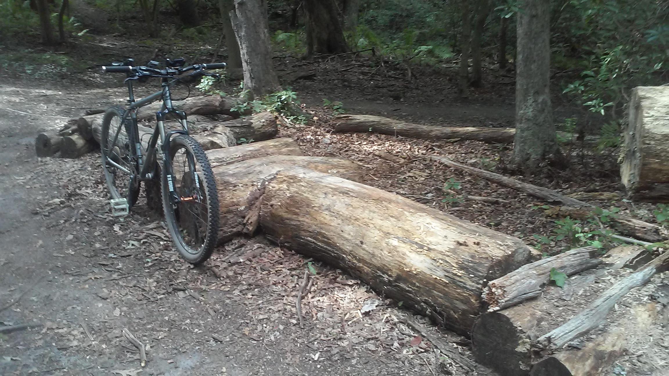 A mountain bike is resting beside a large fallen log in a wooded area, surrounded by trees and scattered leaves on the ground. The path appears natural and earthy, indicating a trail suitable for outdoor cycling. Allaire State Park mountain bike trail.