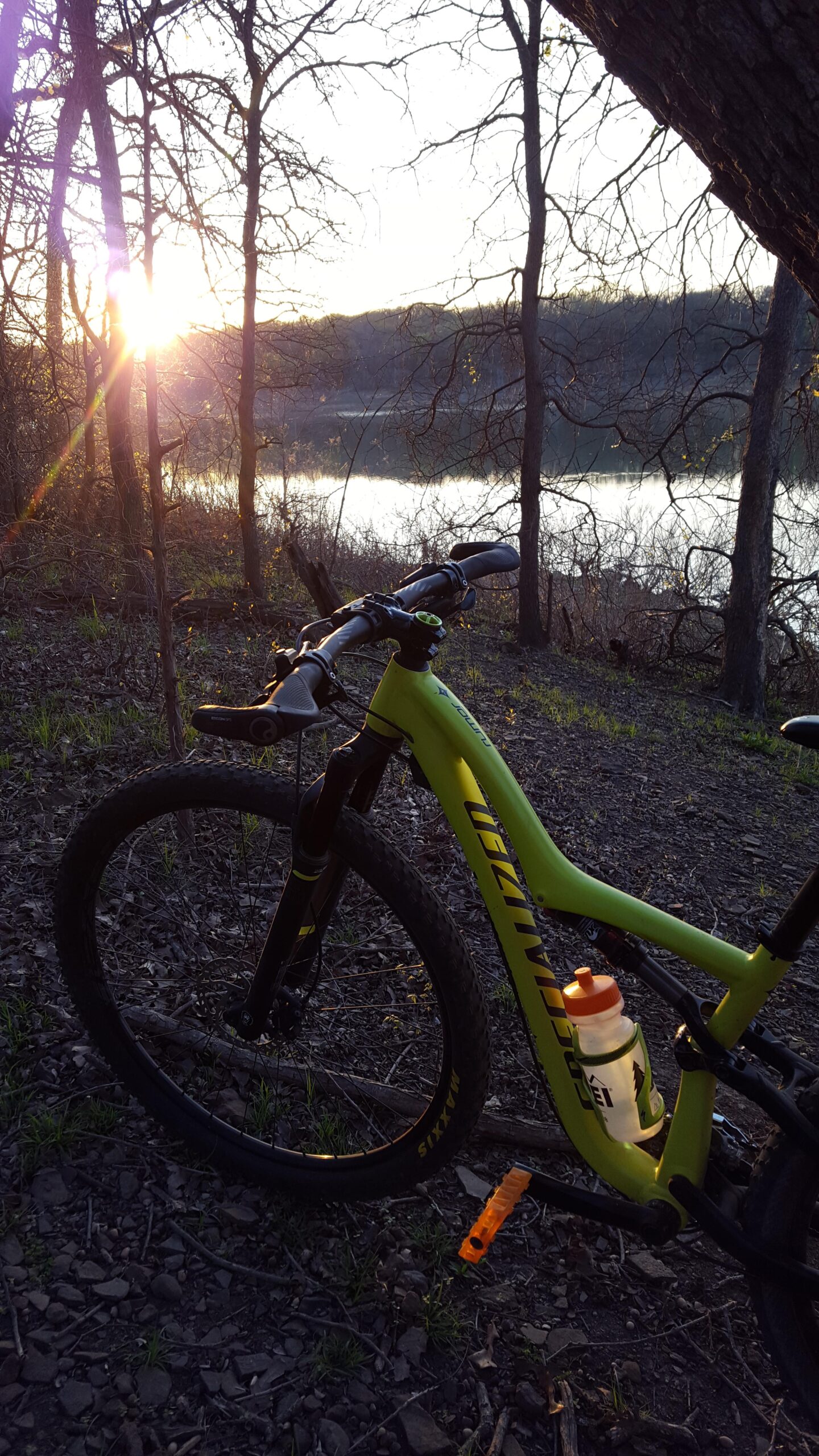 Specialized Rumor Comp: A green mountain bike with a water bottle is leaning against a tree, with the sun setting in the background over a calm lake. The scene is framed by trees and shows a gravelly path with some grass peeking through, capturing a peaceful outdoor moment.