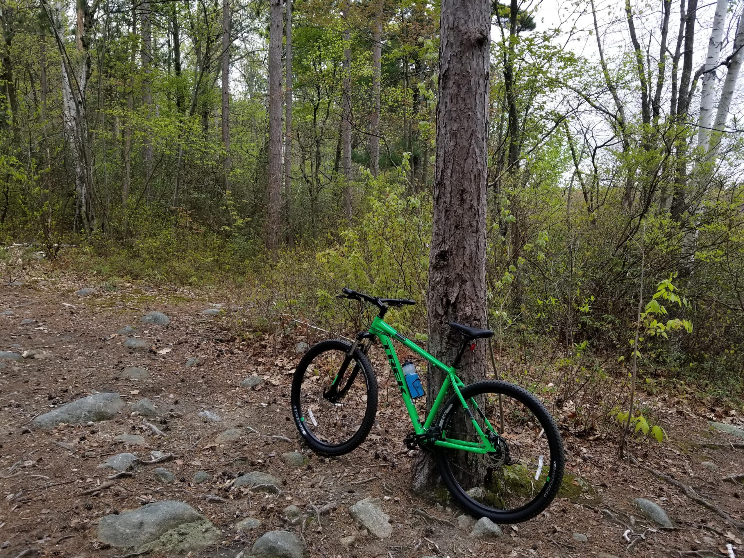 Trek Marlin 5 29er: A green mountain bike leaning against a tree on a rocky trail surrounded by lush greenery and trees.