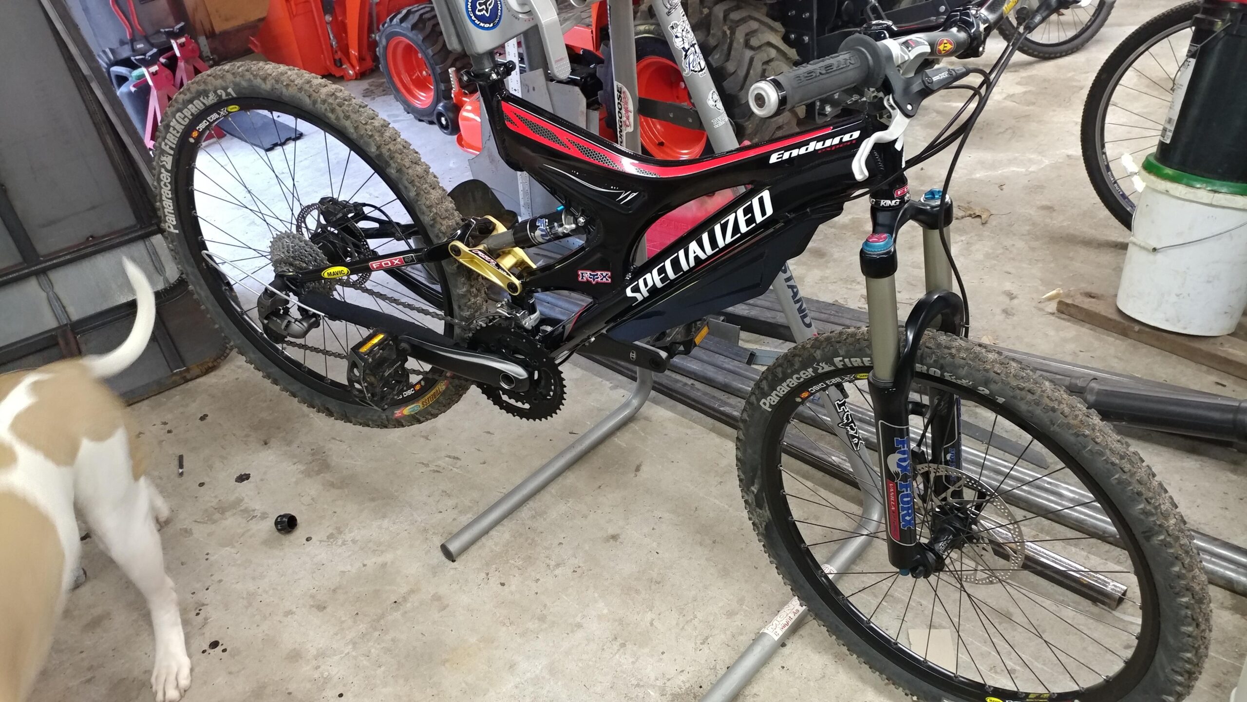 Specialized Enduro Expert: A specialized mountain bike with a black and red frame is displayed in a garage setting. The bike is equipped with dirt-tread tires and various components, including a front suspension fork and gears. A dog is partially visible in the foreground, and tools and equipment are scattered throughout the background.