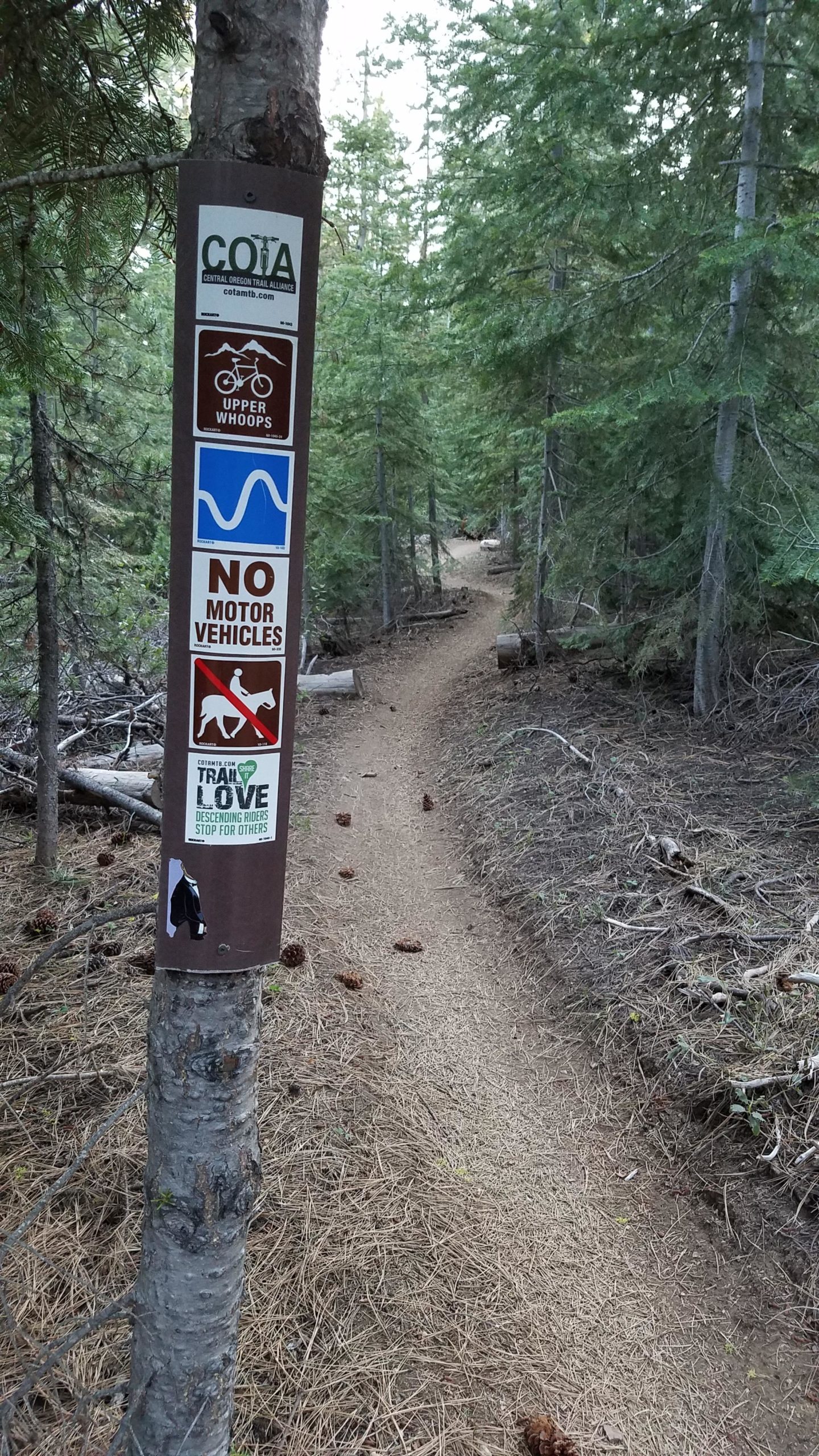 Image of a wooded trail sign on a tree, featuring multiple signs indicating the designation of the trail, such as "Upper Whoops," and rules such as "No Motor Vehicles." The path continues into the forest, surrounded by pine trees and scattered pine cones on the ground. Whoops mountain bike trail.