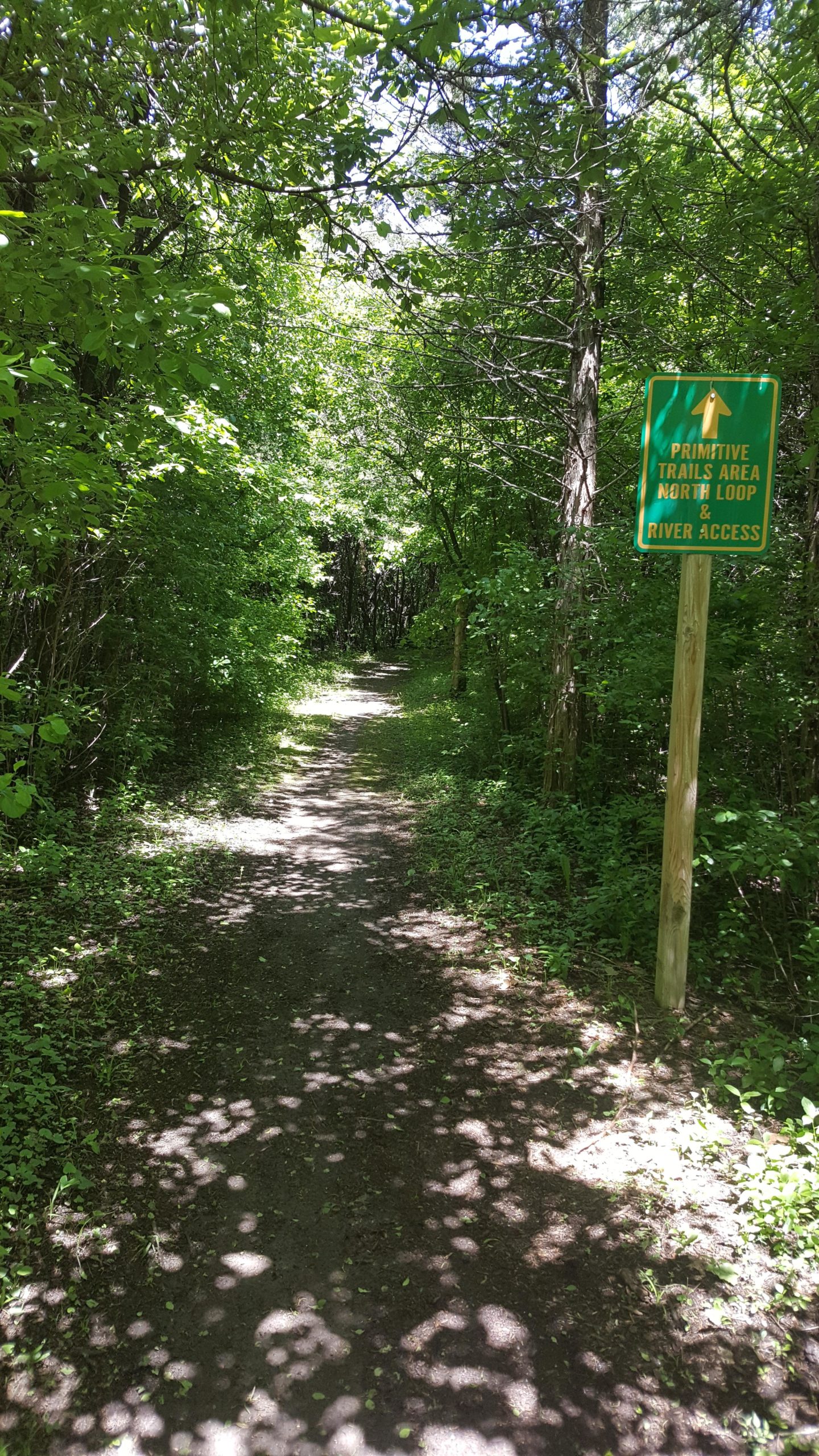 A narrow dirt path winds through a lush, green forest, dappled with sunlight. A wooden sign on the right indicates "Primitive Trails Area - North Loop & River Access." Tall trees and dense foliage frame the trail, creating a serene and inviting outdoor setting. Yankton Primitive Trail mountain bike trail.