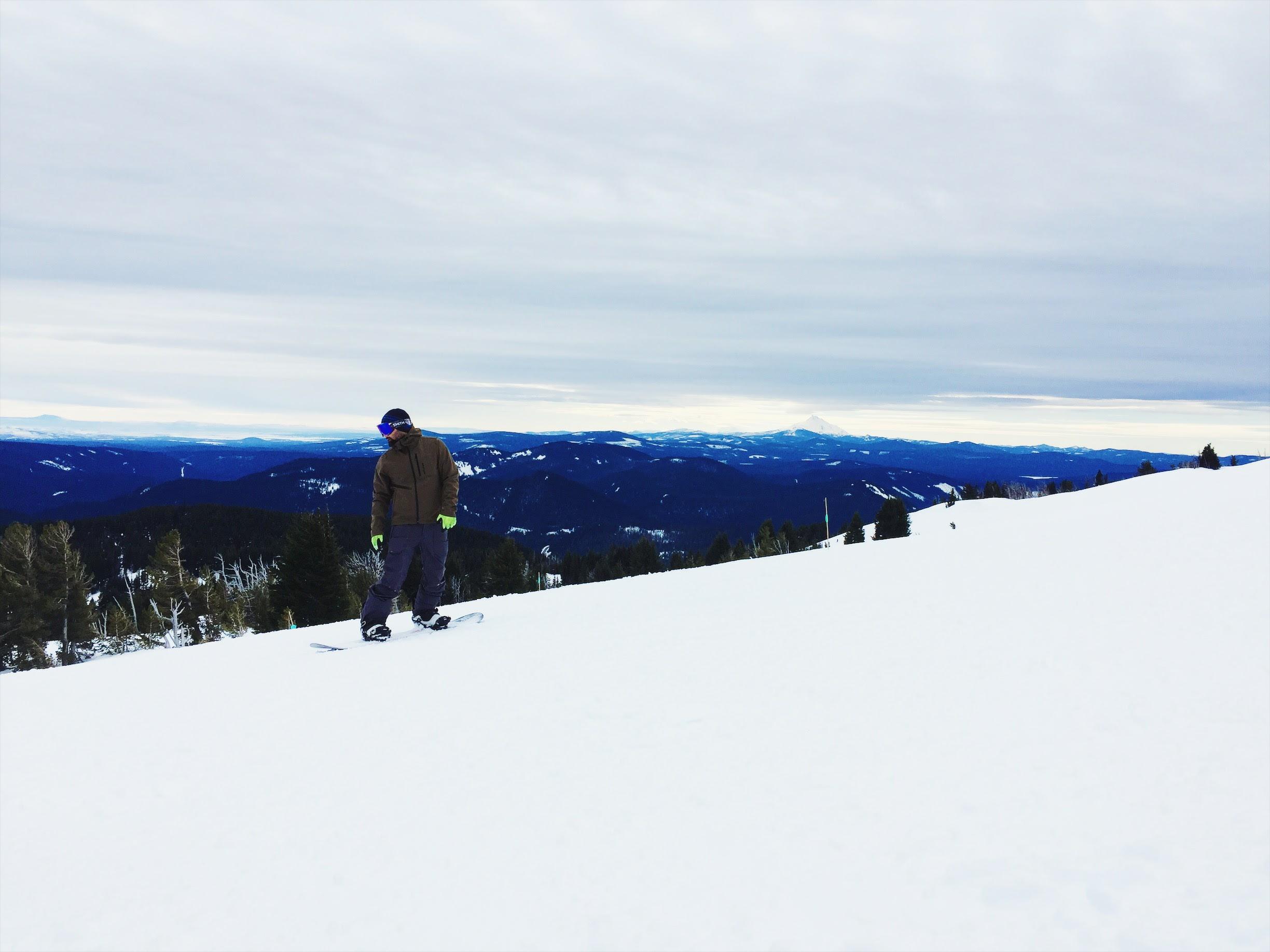 Santa Cruz Bronson: A snowboarder standing on a snowy slope, wearing a brown jacket and green gloves, with a panoramic view of mountains and valleys in the background under a cloudy sky.