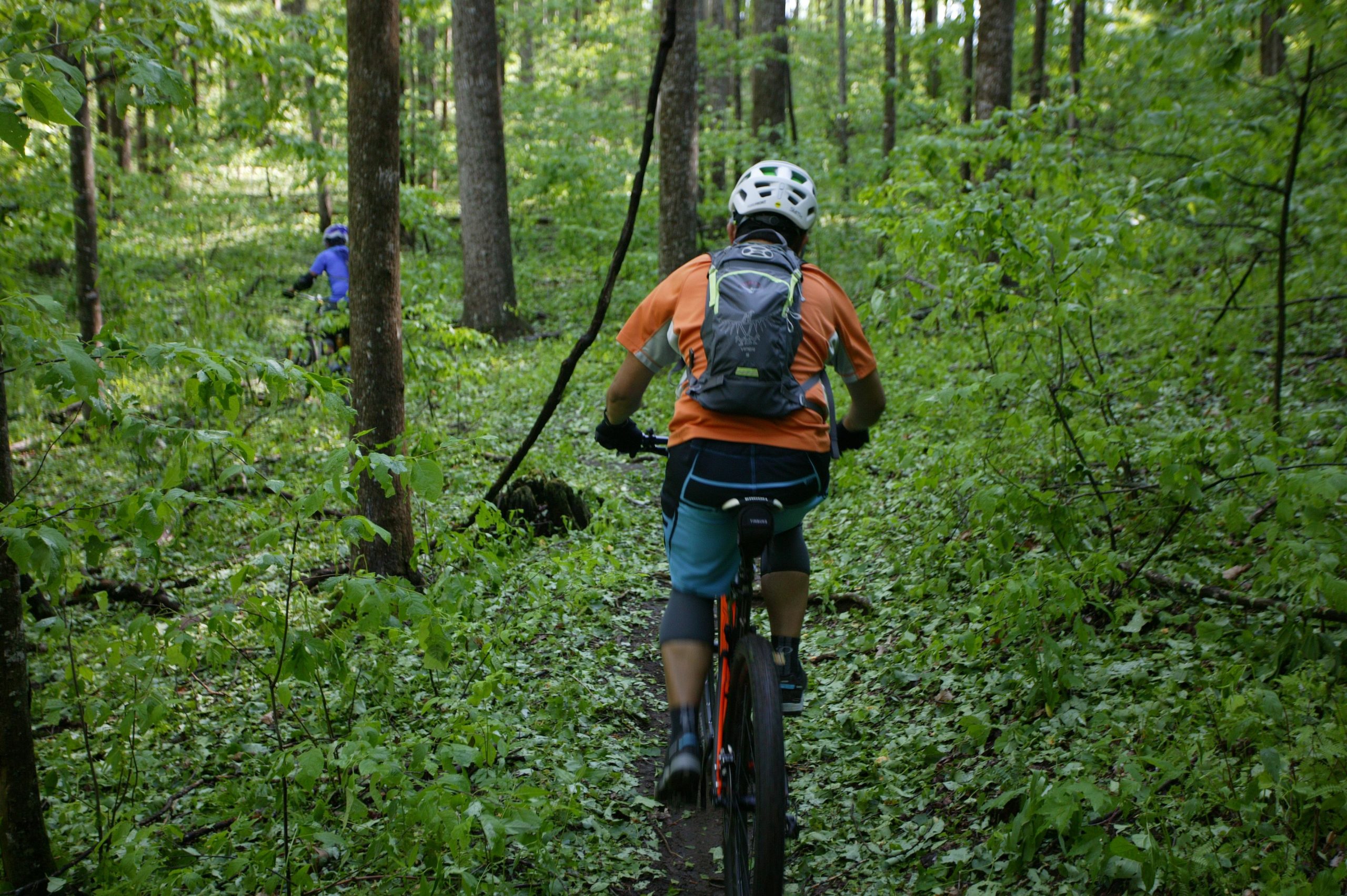 A person riding a mountain bike along a narrow, wooded trail surrounded by lush green foliage and trees. Another cyclist can be seen in the background, adding to the sense of adventure in a natural setting. Black Mountain mountain bike trail.