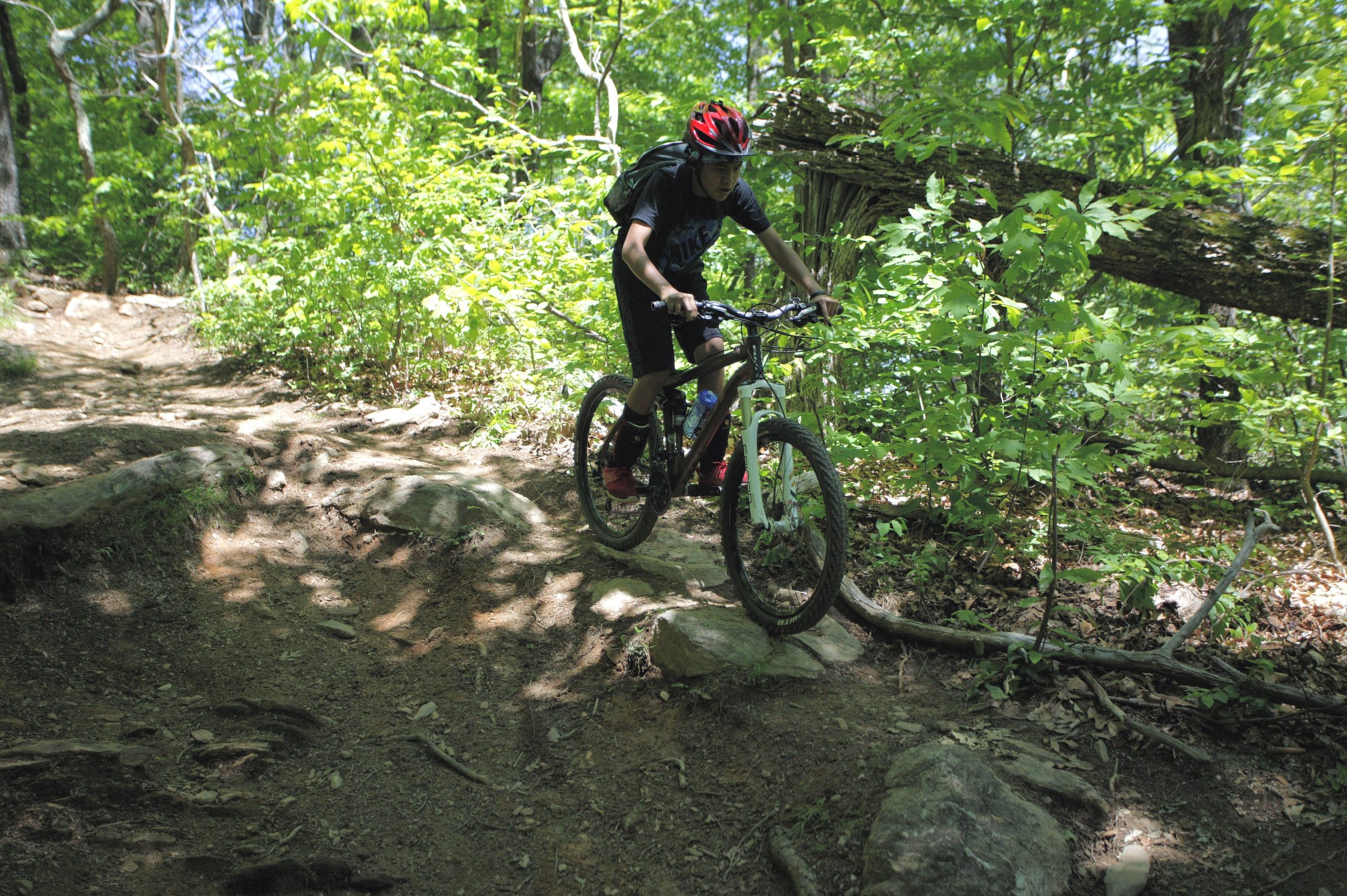A mountain biker navigating a rocky trail surrounded by lush green foliage on a sunny day. The cyclist, wearing a red helmet and a backpack, is in mid-action as they ride over uneven terrain. Black Mountain mountain bike trail.