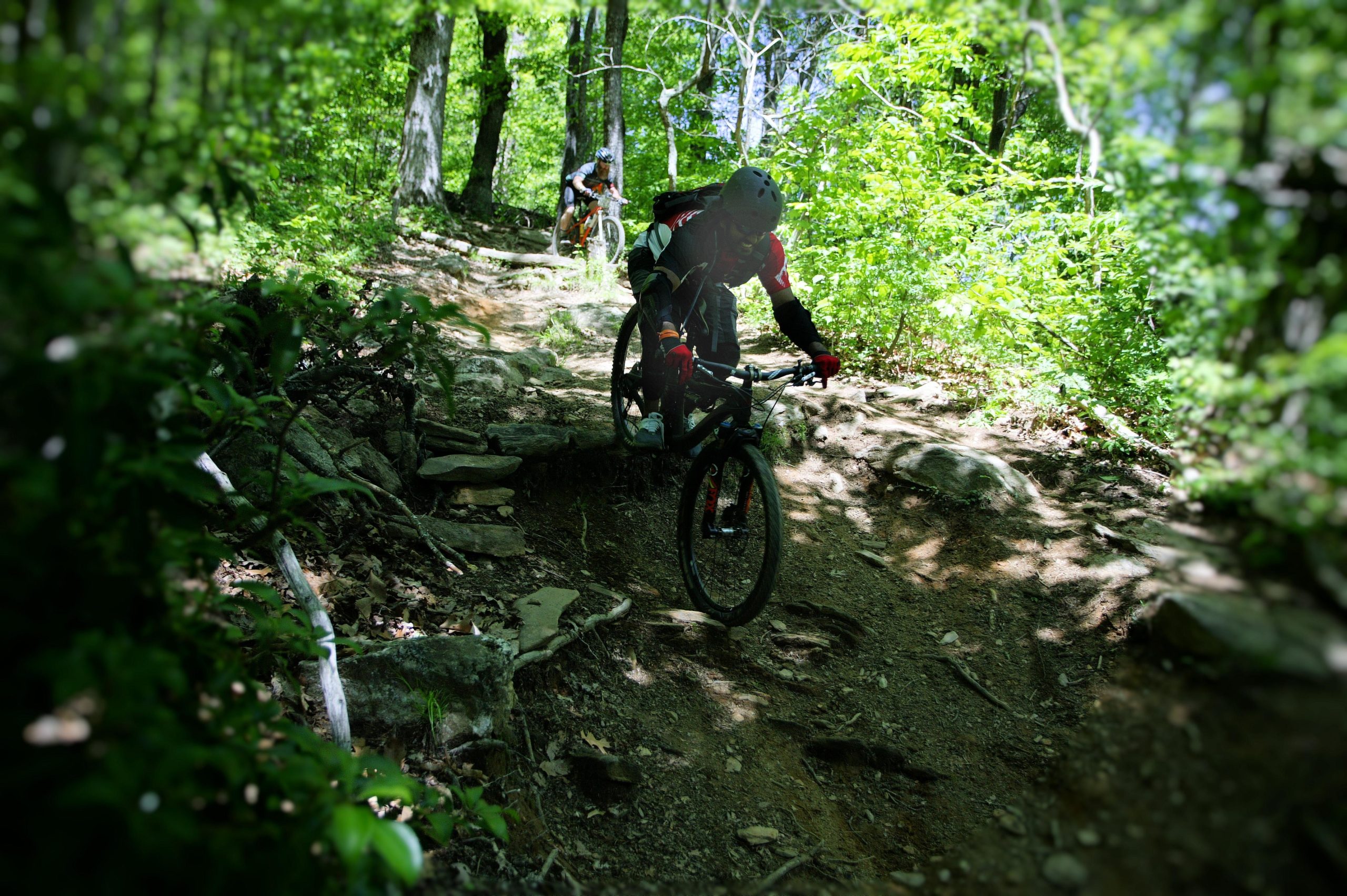 Mountain biker navigating a rocky trail through a lush green forest, with another rider visible in the background. The scene captures the excitement of off-road biking amidst natural scenery. Black Mountain mountain bike trail.