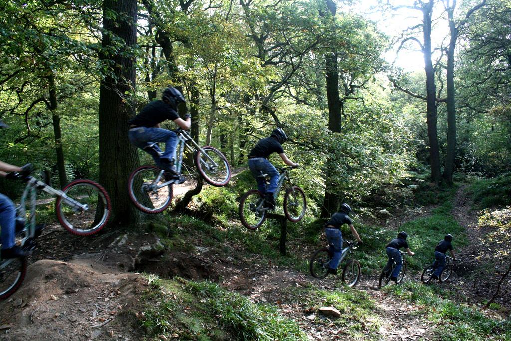 A sequence of a cyclist performing jumps on a mountain bike through a wooded trail, showcasing multiple stages of the jump against a backdrop of trees and sunlight filtering through the leaves. Swithland Woods mountain bike trail.