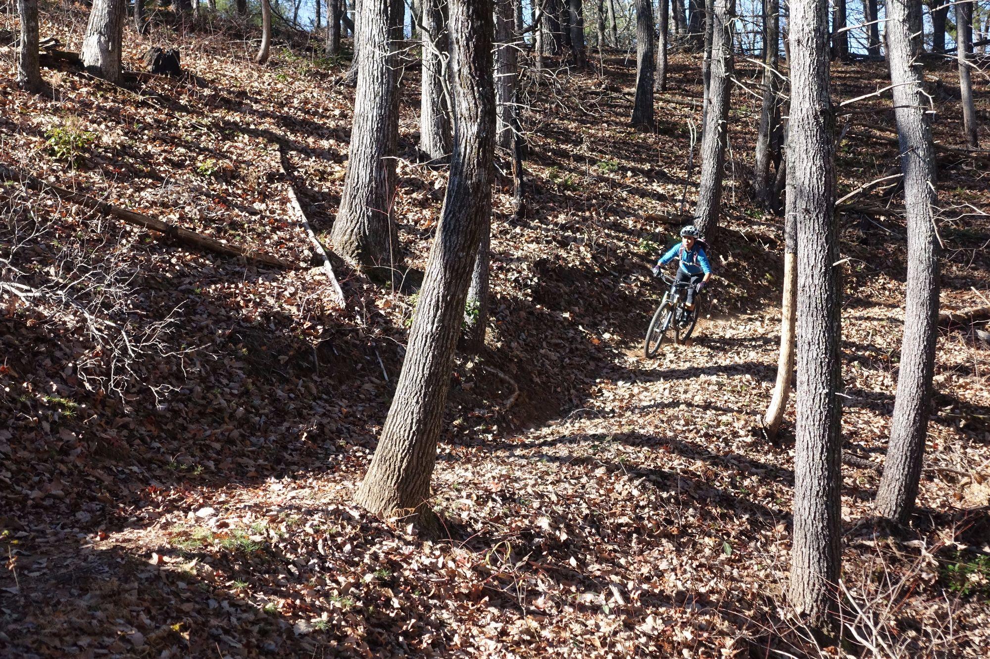 A mountain biker rides along a dirt trail in a forest, surrounded by trees and autumn leaves on the ground. Sunlight filters through the branches, casting shadows on the trail. The biker is wearing a helmet and blue attire, navigating the winding path. Bull / Jake Mountain mountain bike trail.