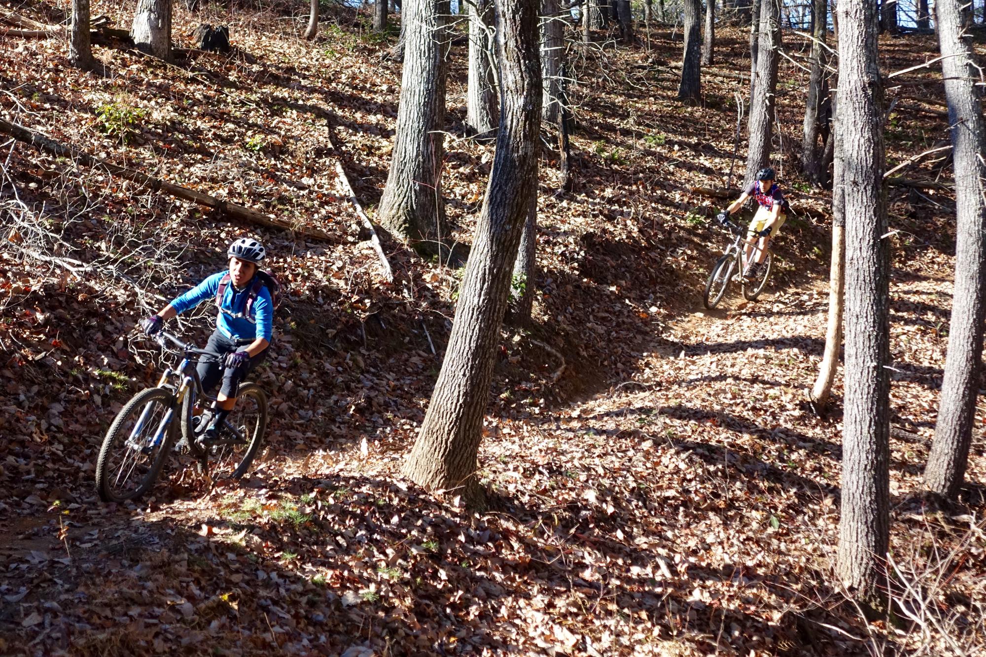Two mountain bikers navigating a leaf-covered trail in a forest during autumn. The terrain is uneven with trees lining the path, and the sunlight filters through the branches, creating a dynamic interplay of light and shadow. Bull / Jake Mountain mountain bike trail.