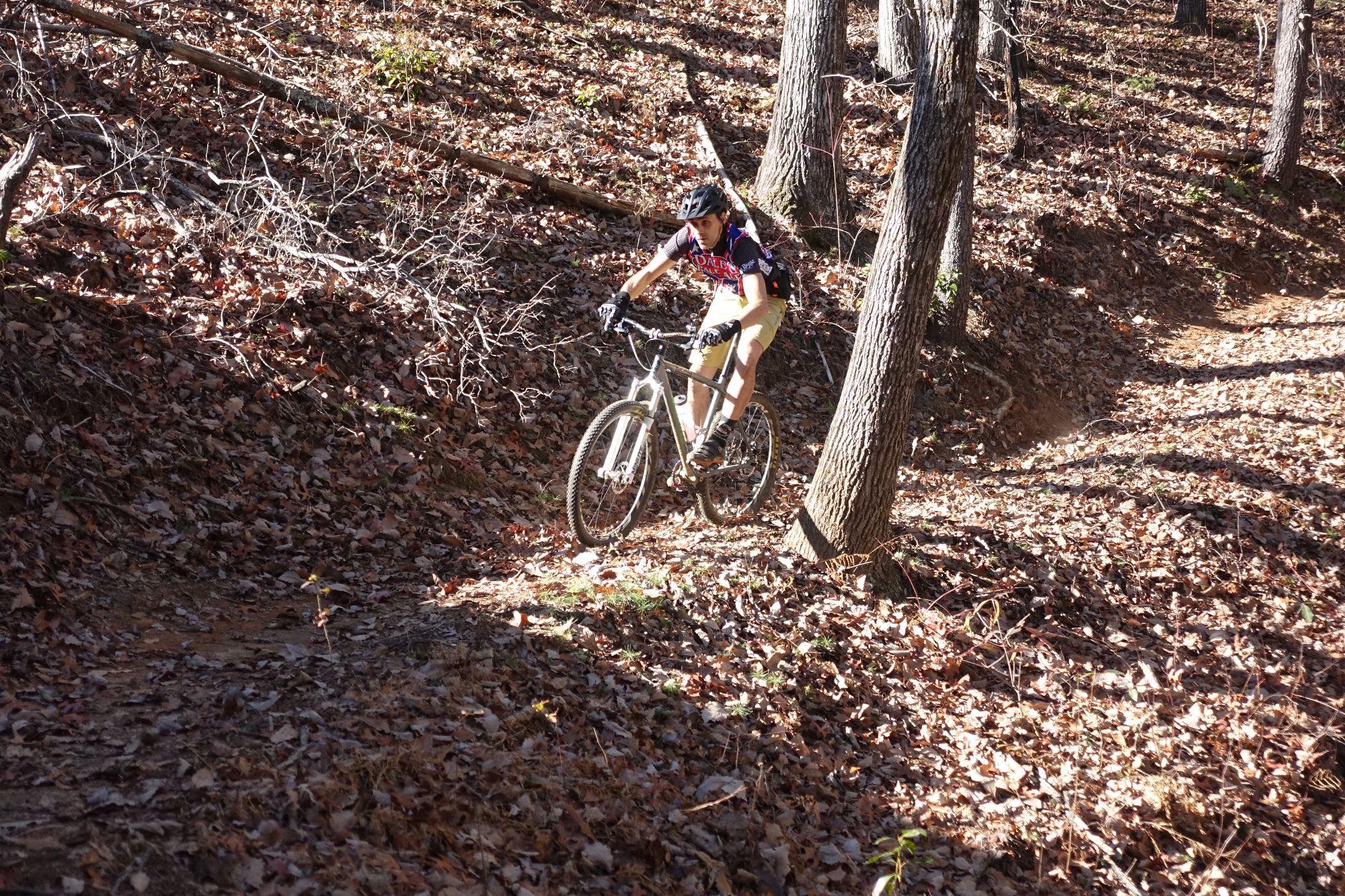 A mountain biker navigating a forested trail covered in fallen leaves, with trees lining the path in sunlight. Bull / Jake Mountain mountain bike trail.