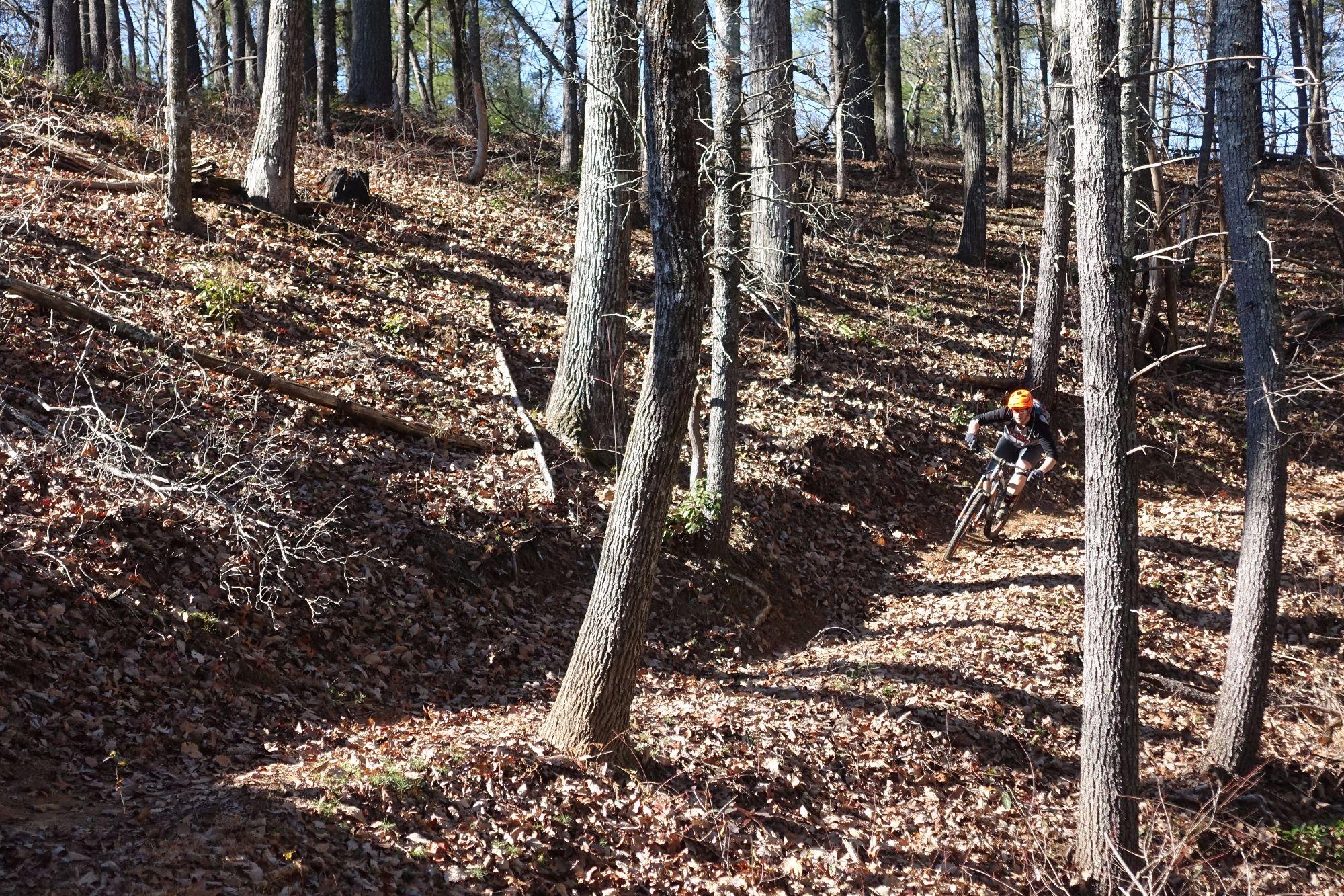 A mountain biker navigating a winding dirt trail in a forest, surrounded by tall trees and a carpet of fallen leaves. The cyclist, wearing a bright orange helmet, leans into a turn as sunlight filters through the branches. Bull / Jake Mountain mountain bike trail.