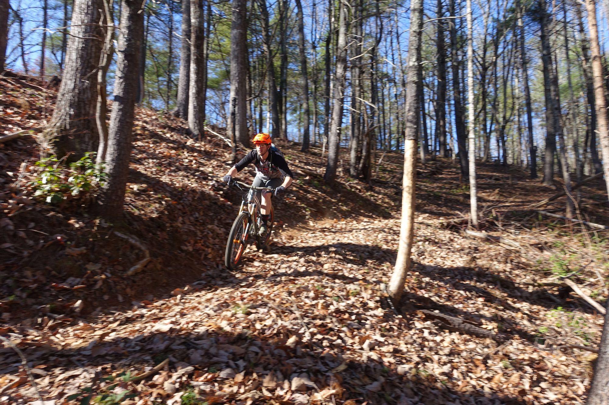 A cyclist riding a mountain bike along a winding trail through a forest, surrounded by trees and fallen leaves. The rider is wearing a helmet and is poised for action on a sunlit day with clear blue skies. Bull / Jake Mountain mountain bike trail.