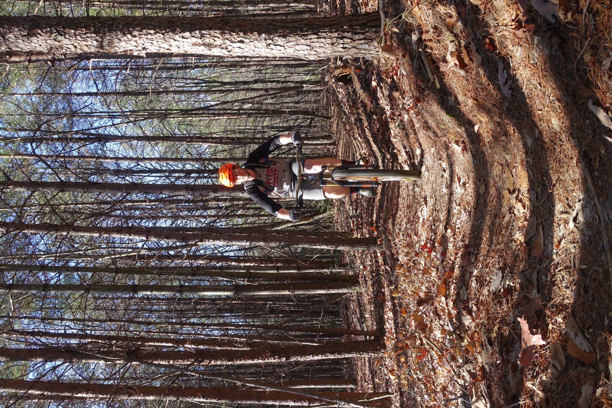A person riding a mountain bike on a winding trail through a forest, surrounded by tall trees and scattered fallen leaves. The rider is wearing an orange helmet and athletic clothing, appearing focused as they navigate the path. The scene is bright and sunny, showcasing the beauty of nature. Bull / Jake Mountain mountain bike trail.