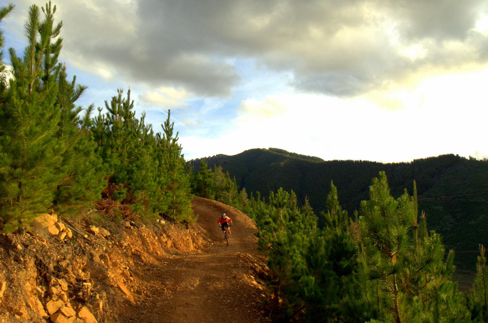 A cyclist riding along a winding dirt trail surrounded by lush green pine trees, with mountains in the background under a partly cloudy sky. Hero Trail mountain bike trail.