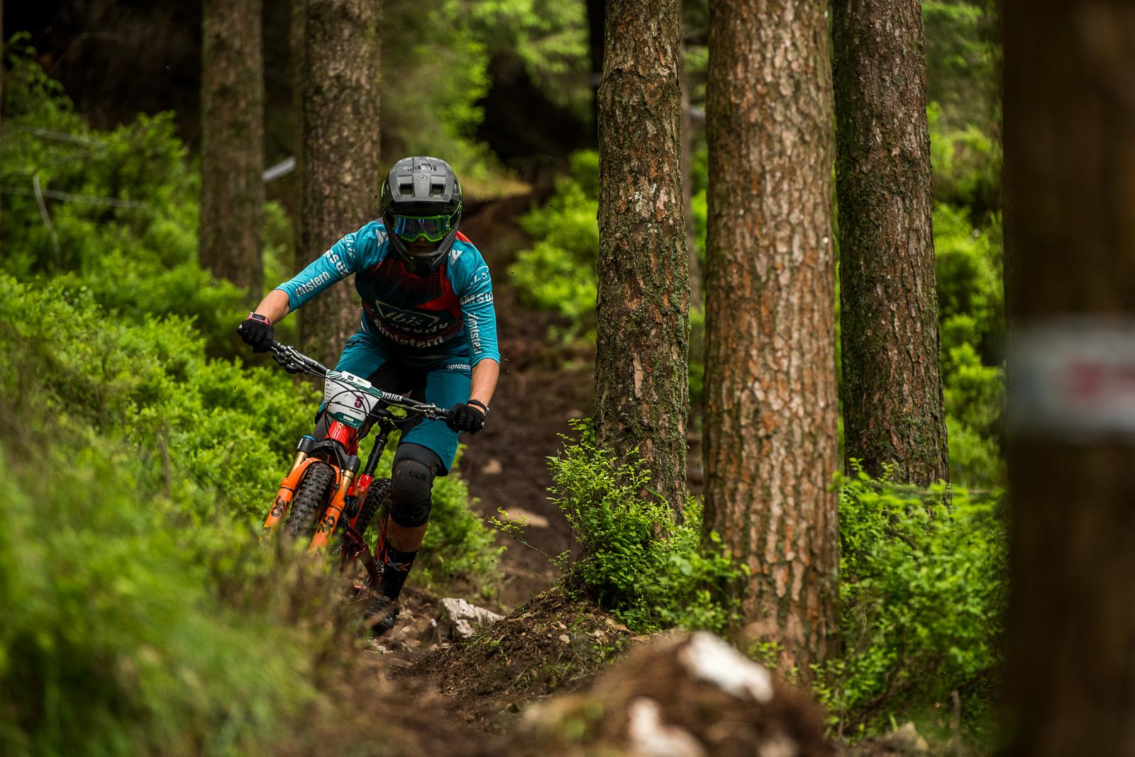Ibis Mojo HD: A mountain biker in protective gear navigates a rocky, forested trail surrounded by tall pine trees and lush greenery. The rider is focused and in motion, showcasing the thrill of downhill biking in a natural environment.