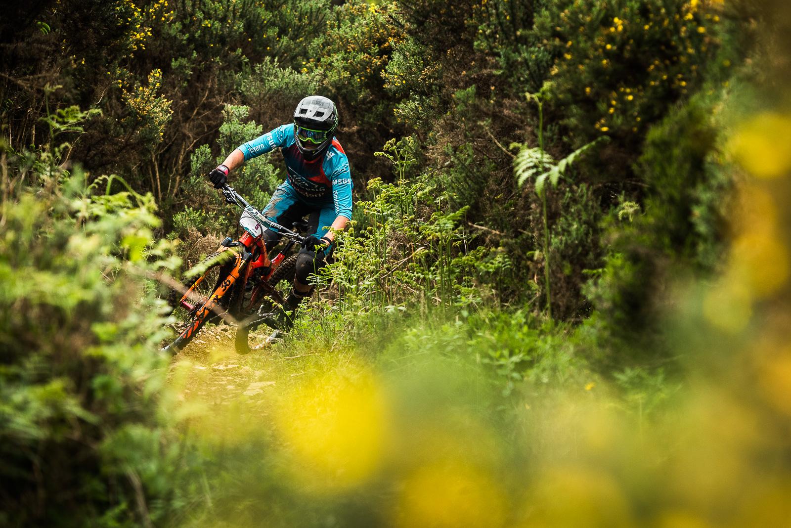 Ibis Mojo HD4: A mountain biker navigating a narrow dirt trail through dense greenery. The rider is wearing a helmet and protective gear, leaning into the turn while their bike kicks up dirt. Yellow flowers and lush foliage frame the scene, suggesting a lush outdoor environment.