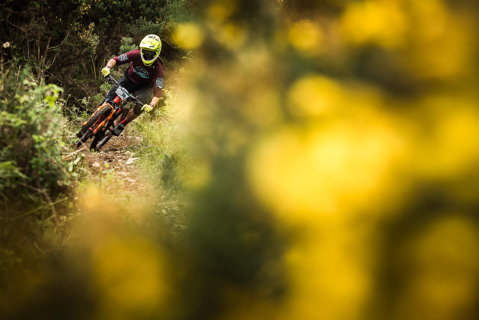 Ibis Mojo HD4: A mountain biker navigating a winding trail surrounded by greenery and wildflowers, captured in motion. The biker wears a helmet and protective gear, leaning into a turn. The foreground features blurred yellow flowers, adding a vibrant touch to the natural scene.