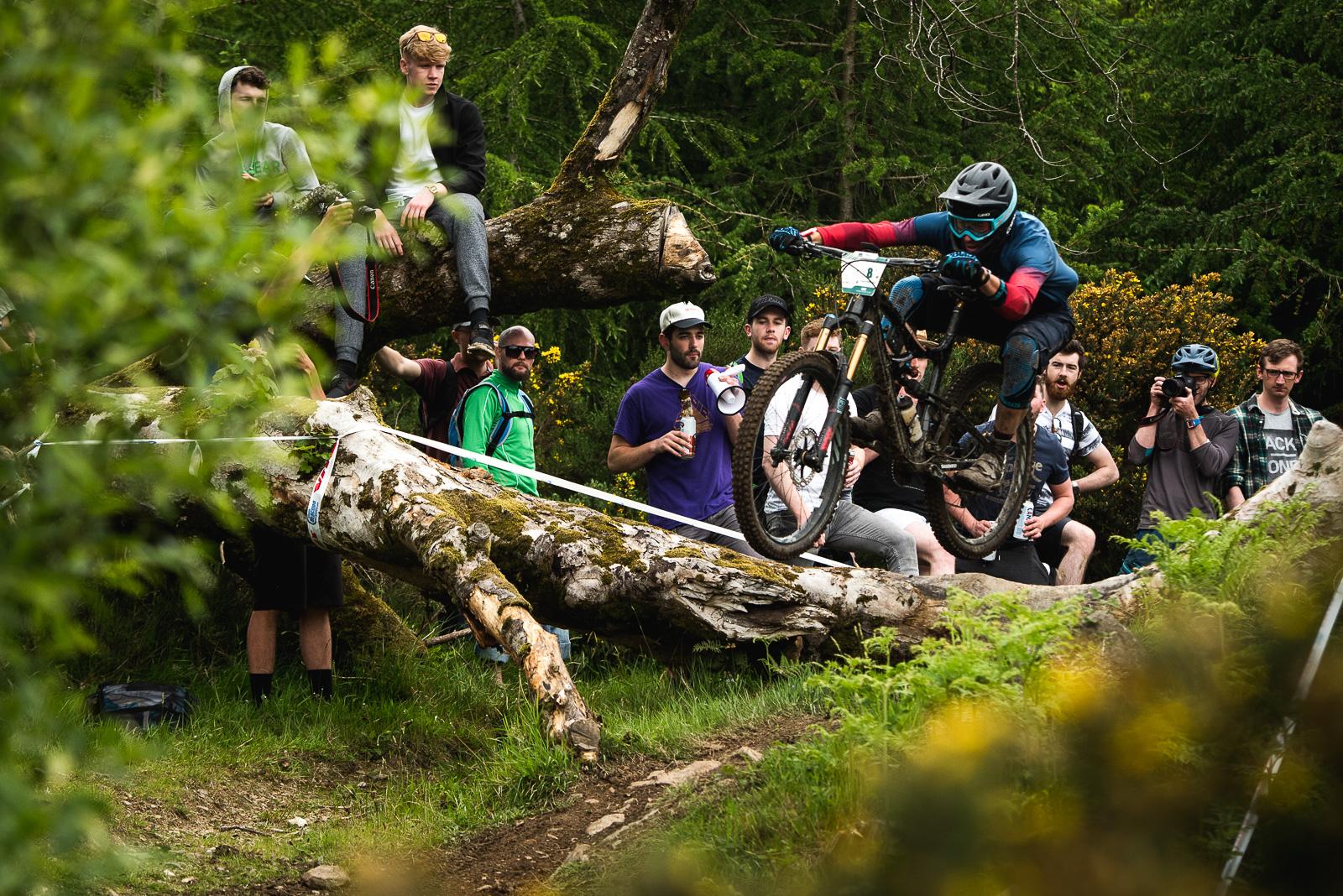 Ibis Mojo HD4: A mountain biker jumps over a fallen log on a dirt trail, surrounded by spectators who are watching the event. The backdrop features lush greenery, and some onlookers are holding cameras and drinks, capturing the action. The biker is wearing protective gear, including a helmet and goggles, and is mid-air as they navigate the obstacle.