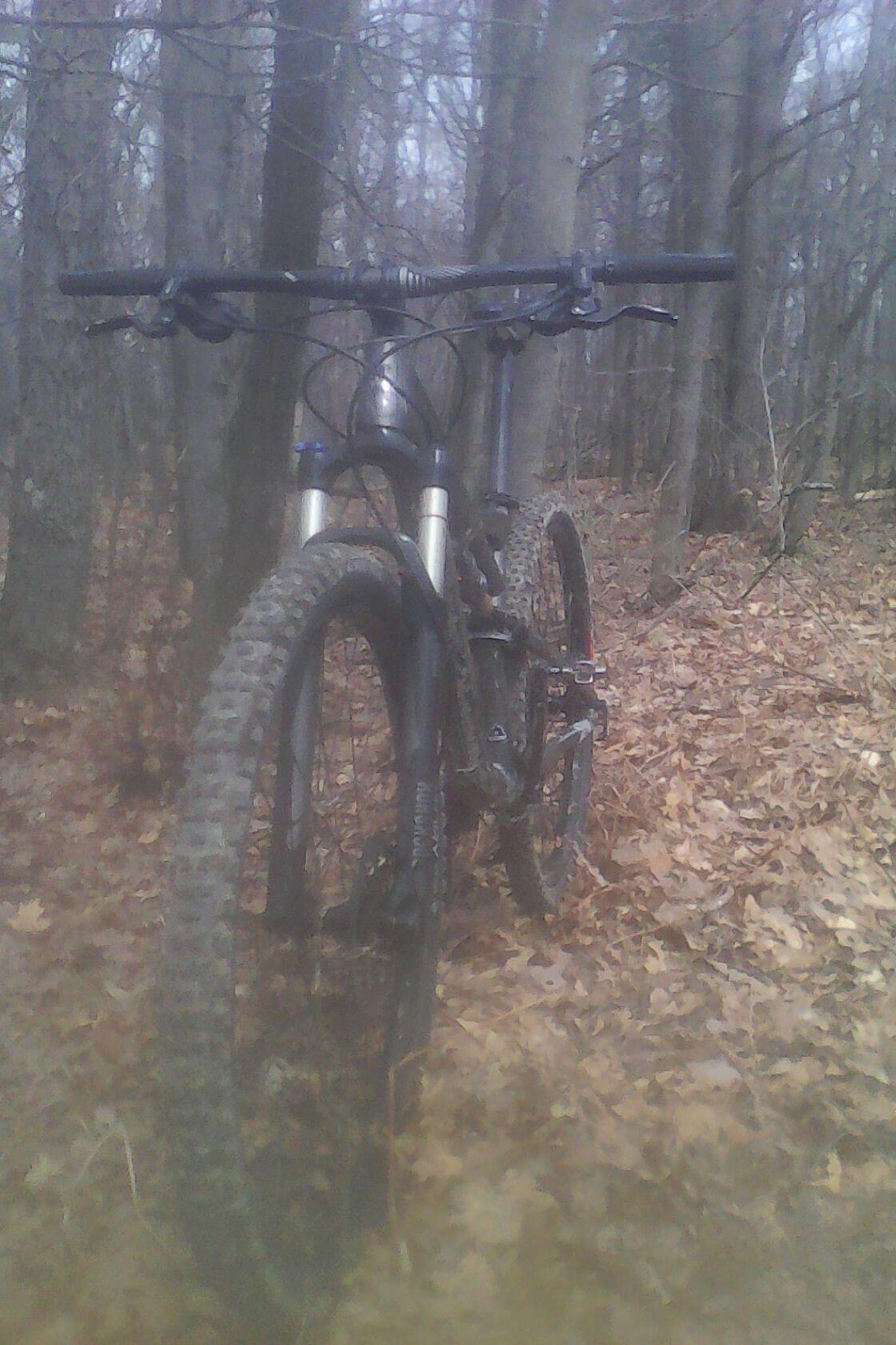 Specialized Camber Comp 29: A mountain bike parked on a trail surrounded by trees, with fallen leaves scattered on the ground. The image captures the rear and side view of the bike, emphasizing its rugged tires and frame. The atmosphere appears cool and slightly overcast, suggesting an early spring day in a forested area.