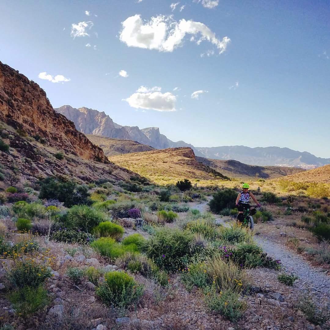 Mountain biker riding along a scenic trail surrounded by rocky terrain and lush vegetation under a clear blue sky sprinkled with clouds. Badger Pass Loop mountain bike trail.