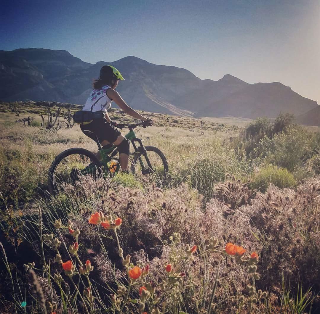 A person riding a mountain bike through a grassy field adorned with wildflowers, with a backdrop of mountains and a clear blue sky. The rider is wearing a helmet and casual sportswear, enjoying the outdoor scenery during daylight. Badger Pass Loop mountain bike trail.