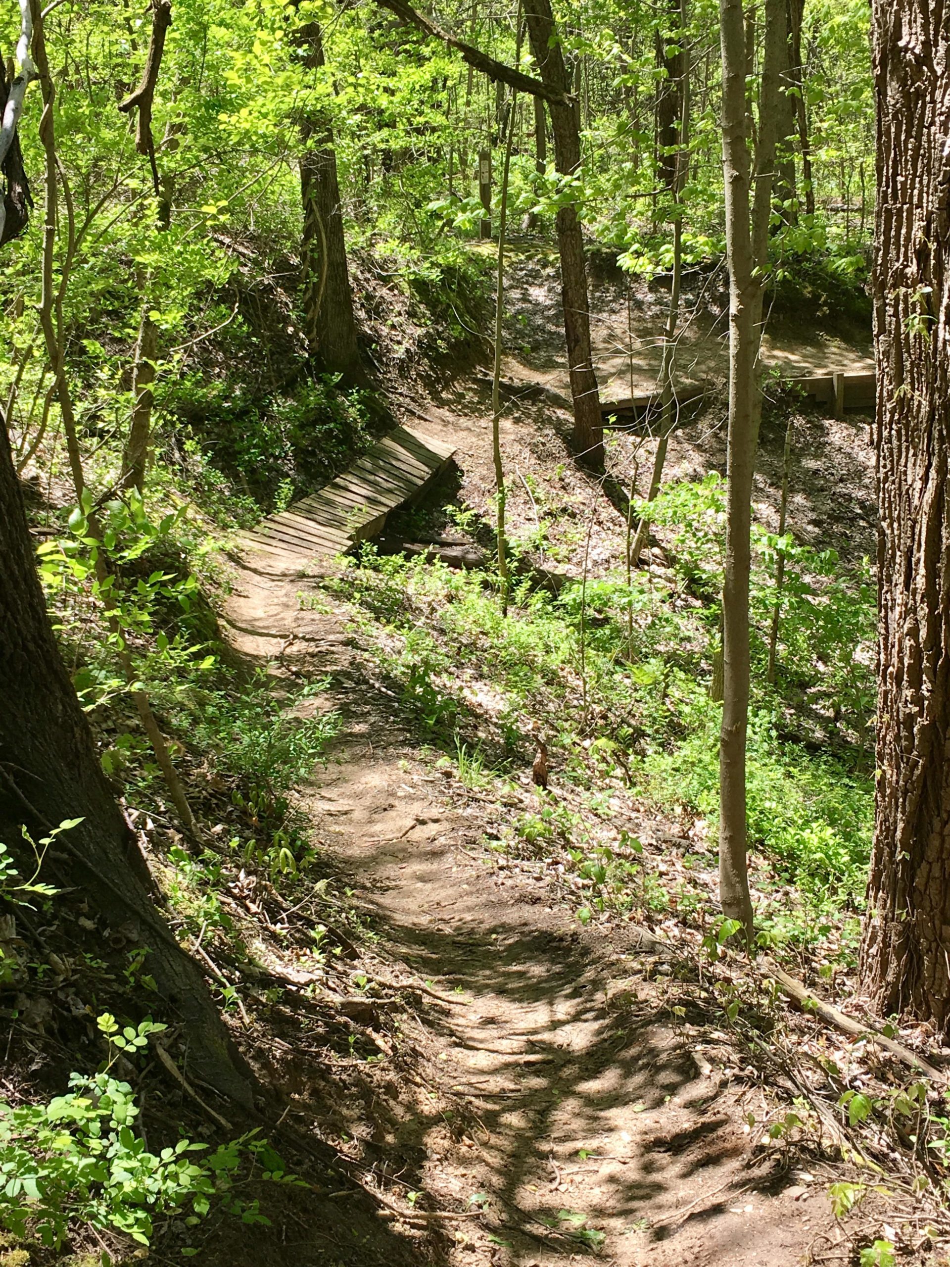 A winding dirt trail through a lush green forest, featuring several wooden bridges crossing small ravines. The scene is bright and sunny, with abundant leafy trees and underbrush on either side of the path, creating a serene natural environment. Rum Village Pathway Mountain Biking Trail mountain bike trail.
